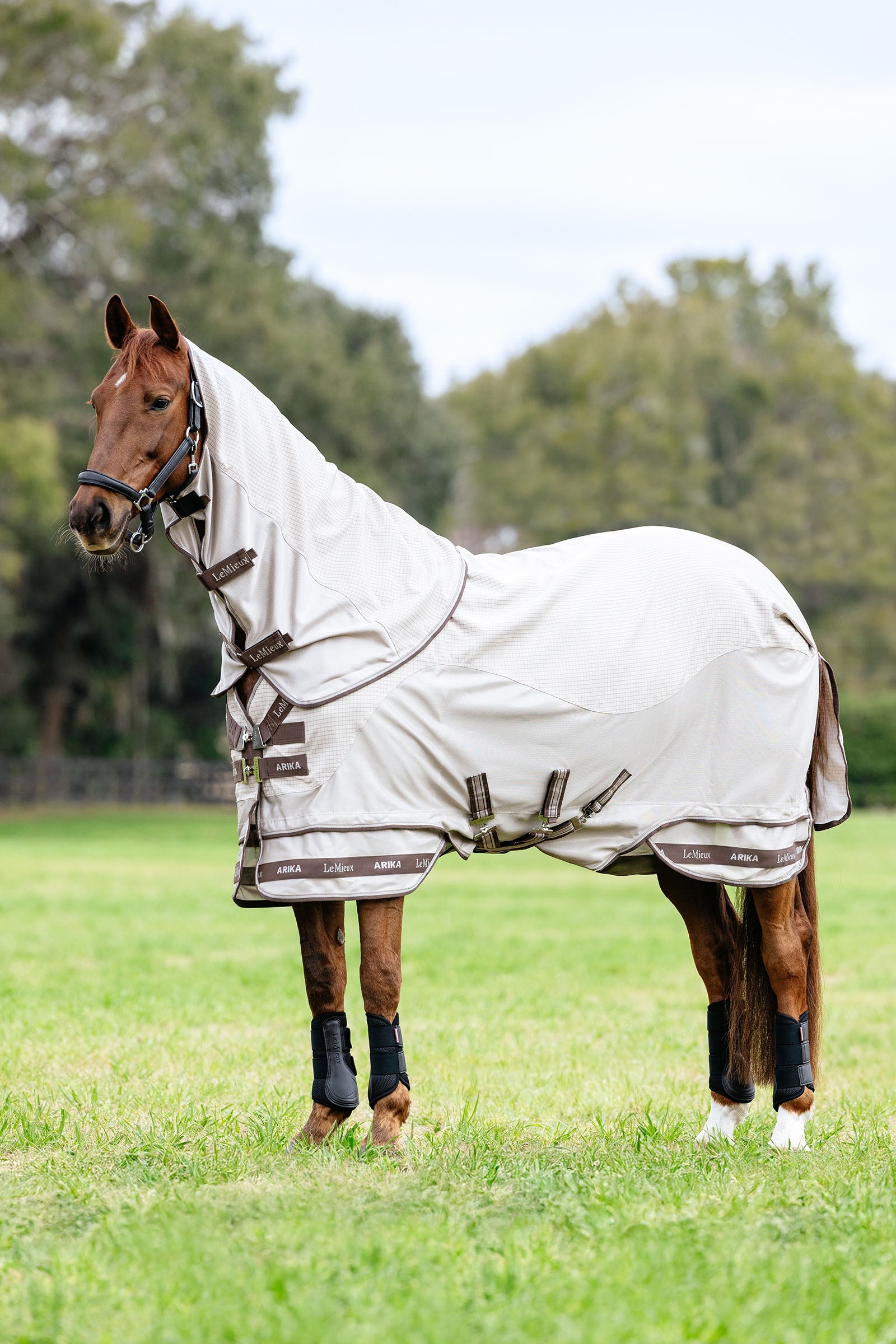 LeMieux Arika 450D Sunstopper couverture d'extérieur avec encolure amovible, 0 g Couvertures cheval