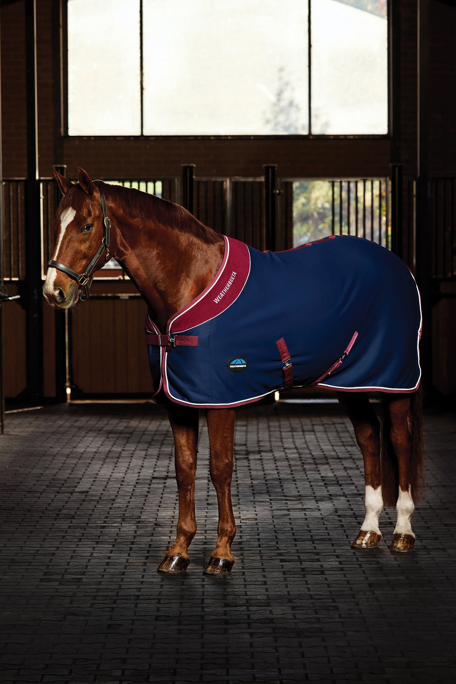 Weatherbeeta Opulence Show Sheet Standard Neck Horse Rugs