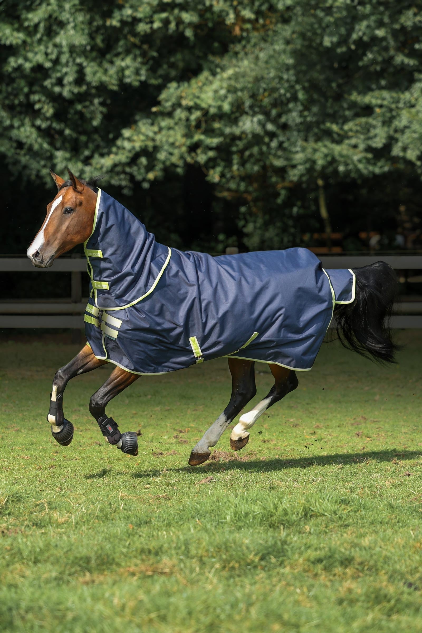 Bucas Oasis Turnout + Neck Set, 100g Horse Rugs