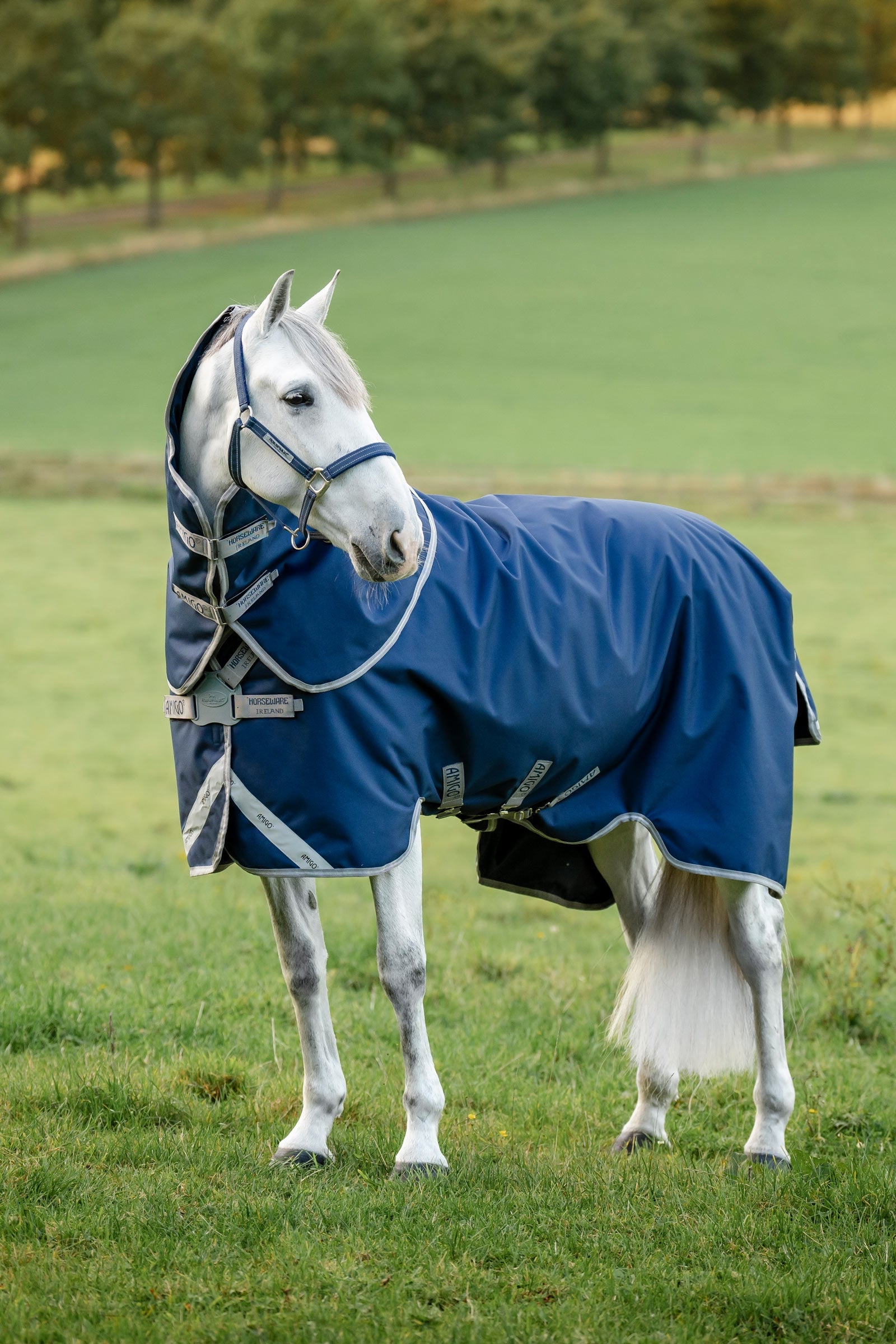 Horseware Amigo 1200D FieldSafe Plus couverture d’extérieur, 100 g Couvertures cheval