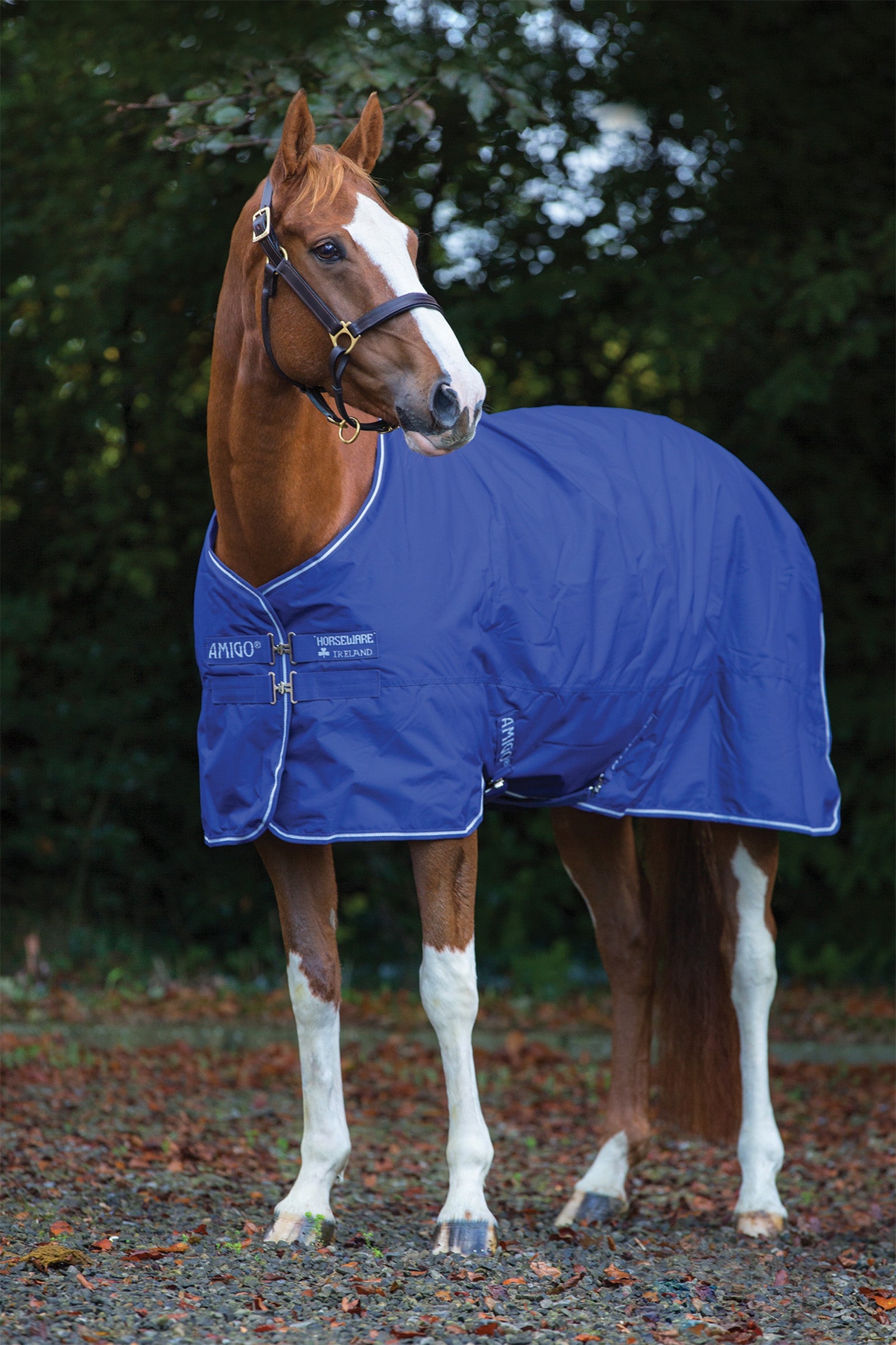 Horseware Amigo Hero 900 Plus Medium couverture imperméable, 200g Couvertures cheval