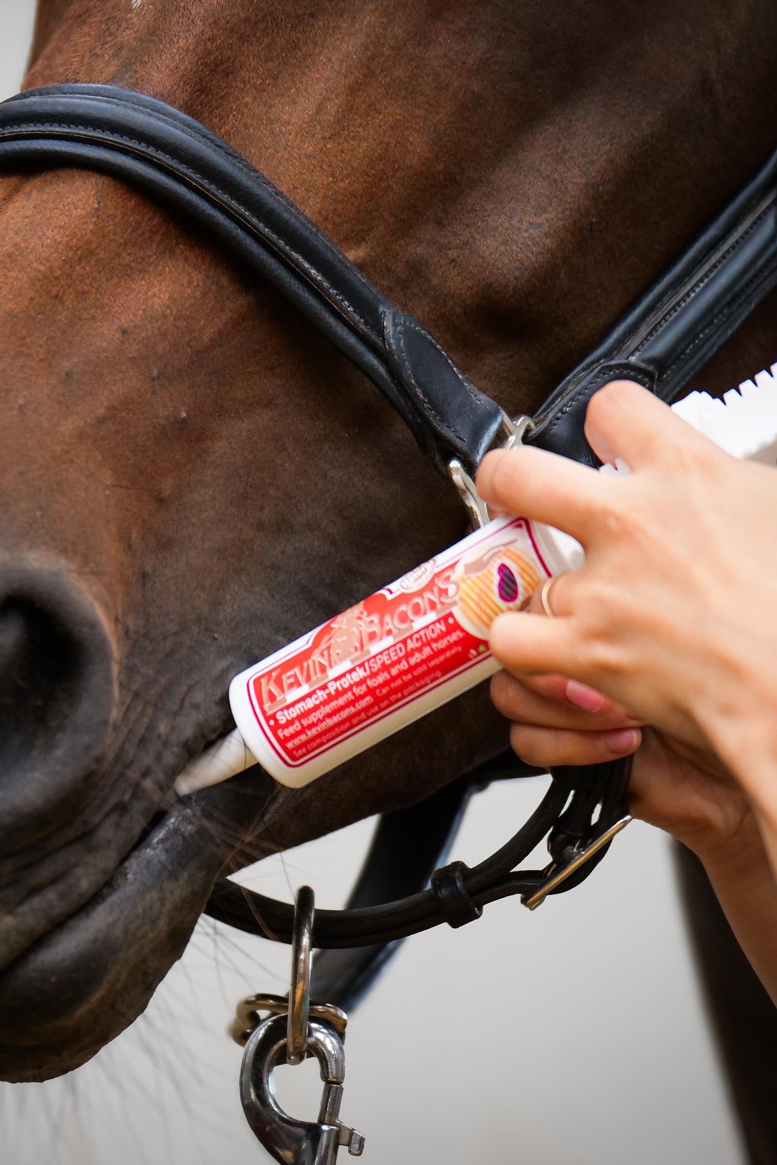 Kevin Bacon´s Kevin Bacon's Stomach-Protek Speed Action Syringes, 6 x 60 ml Horse Feed & Nutrition