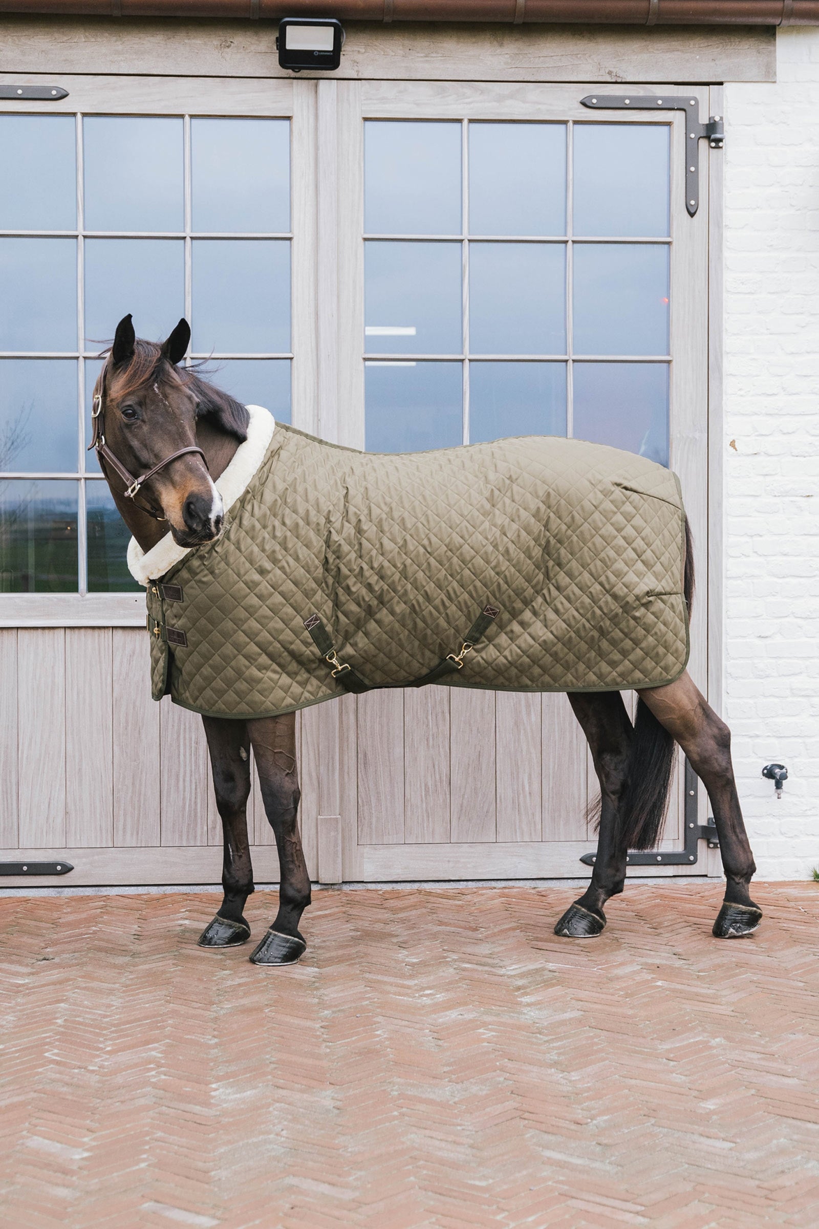 Kentucky Horsewear Kentucky Couverture de PrésentationHorsewear 160g Couvertures cheval