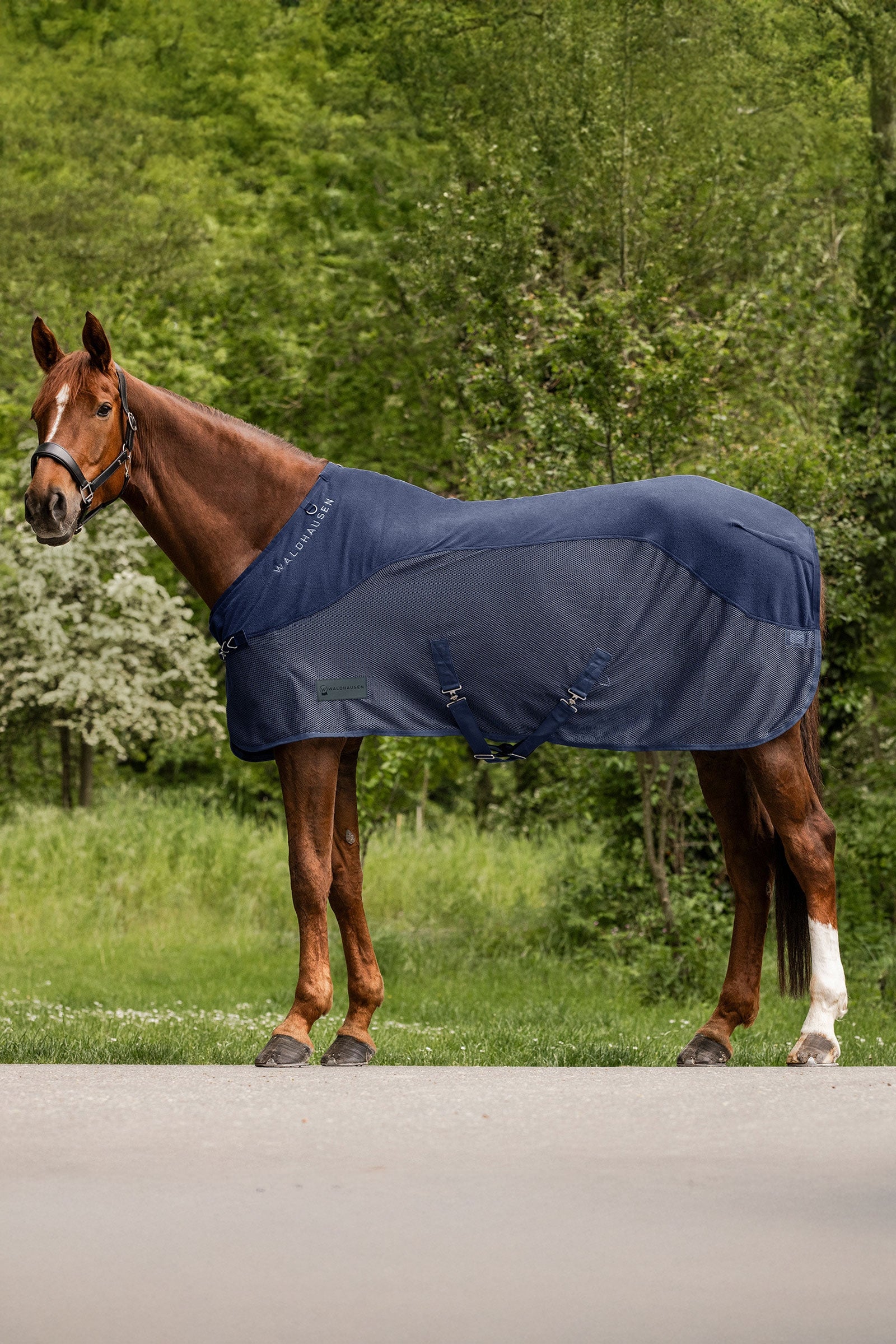 Waldhausen Comfort couverture anti-mouches en polaire Couvertures cheval