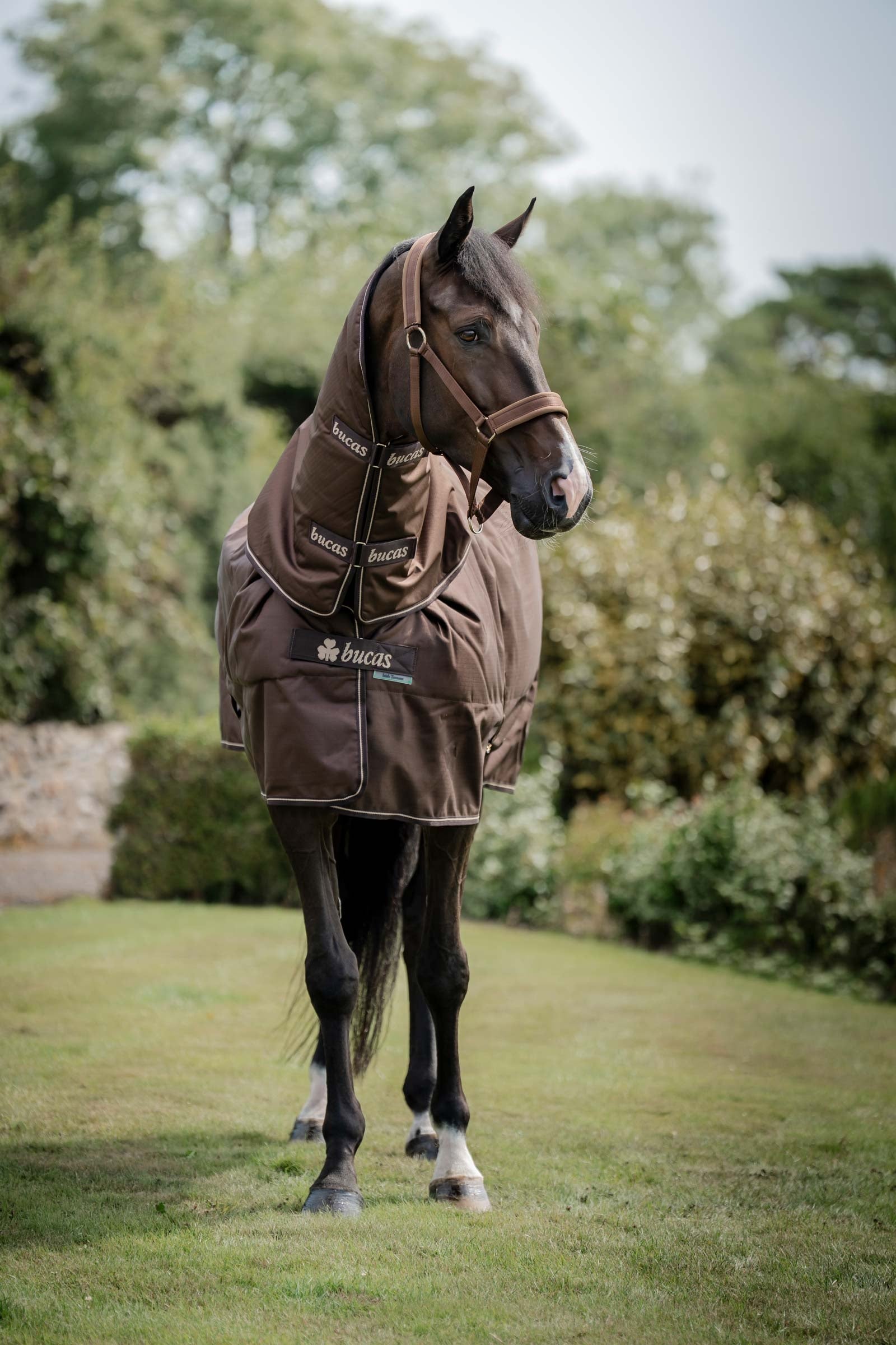 Bucas Irish Turnout 50 g Rug & Neck Couvertures cheval