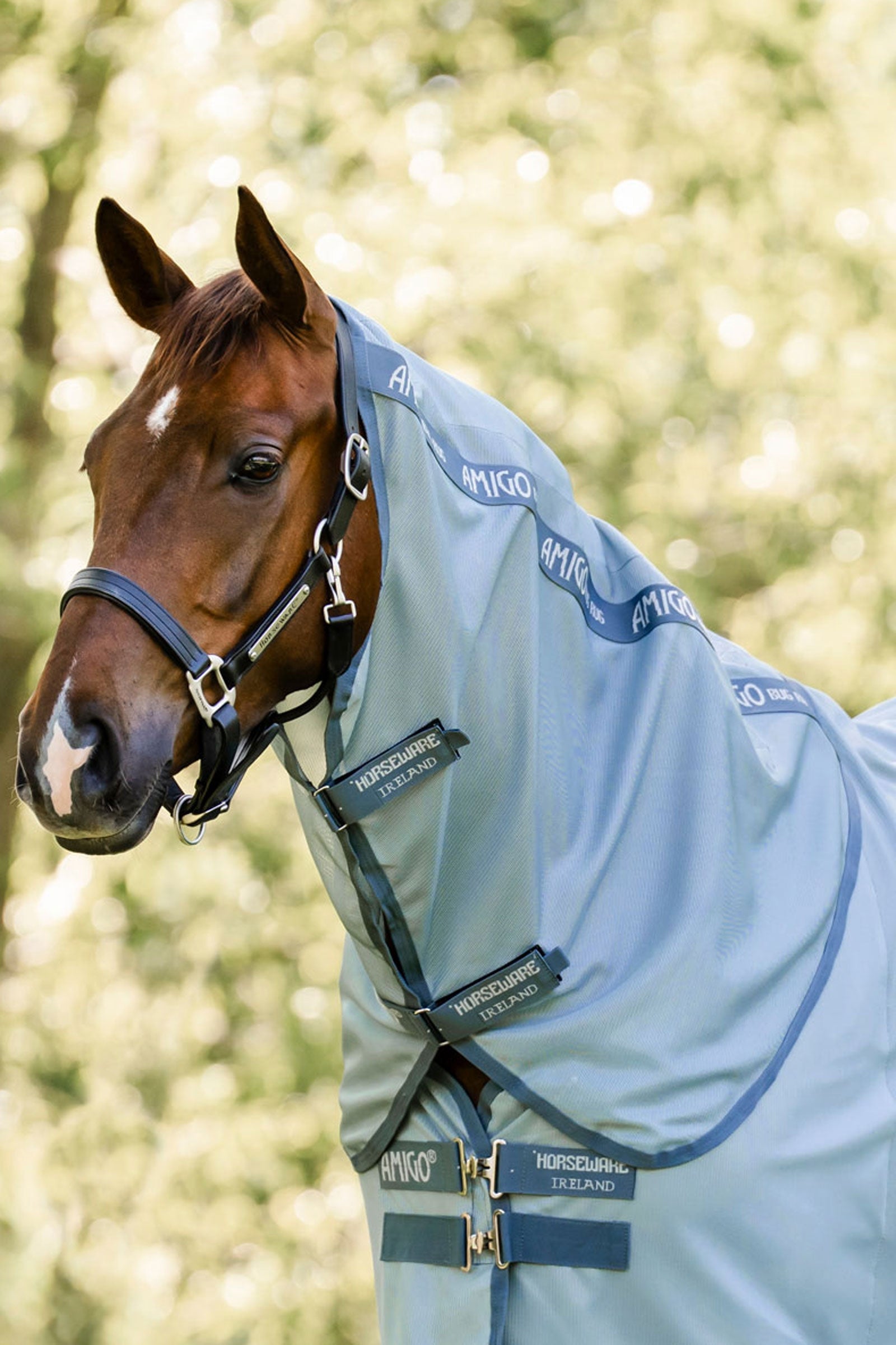 Horseware Amigo couvre-cou pour couverture anti-mouches, protection UV Couvertures cheval
