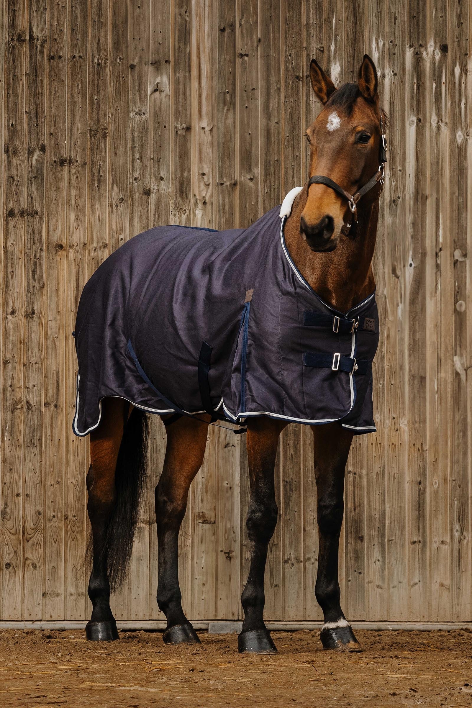 EQUITHÈME Wave Sheet Horse Rugs