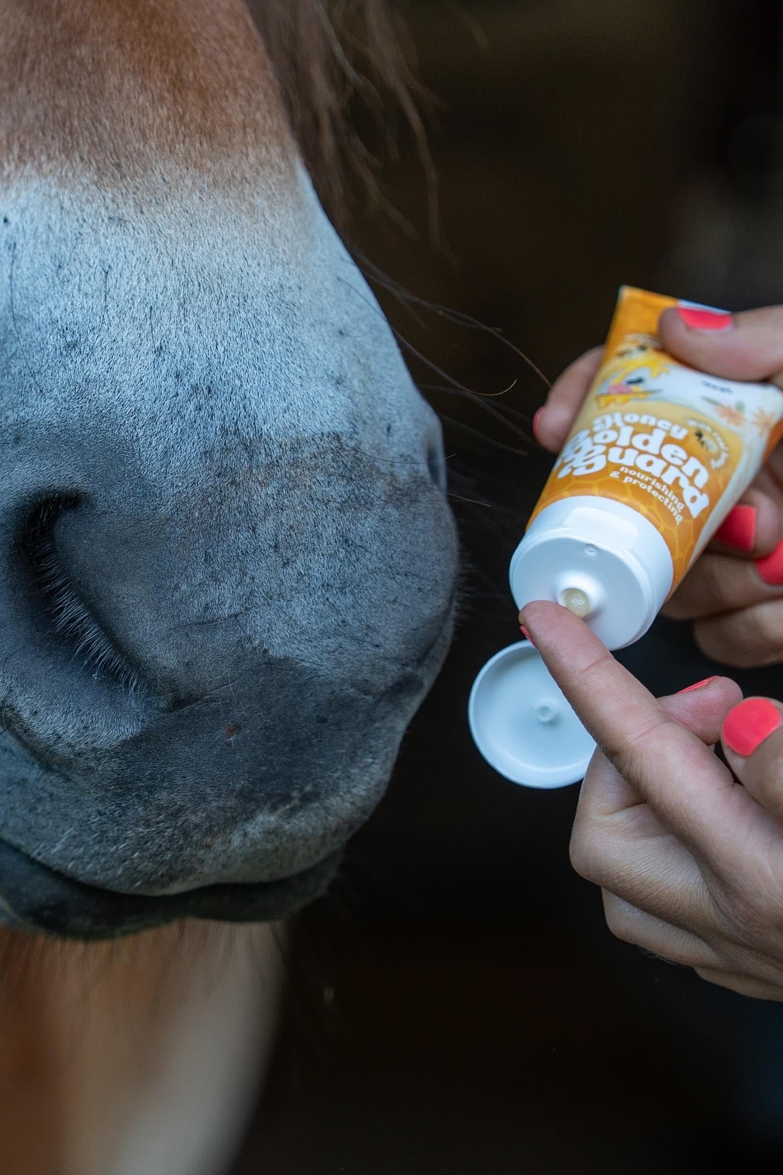 Bense & Eicke Lilla Livet Honey Golden Guard Mouth Balm, 100 ml Horse Health Care