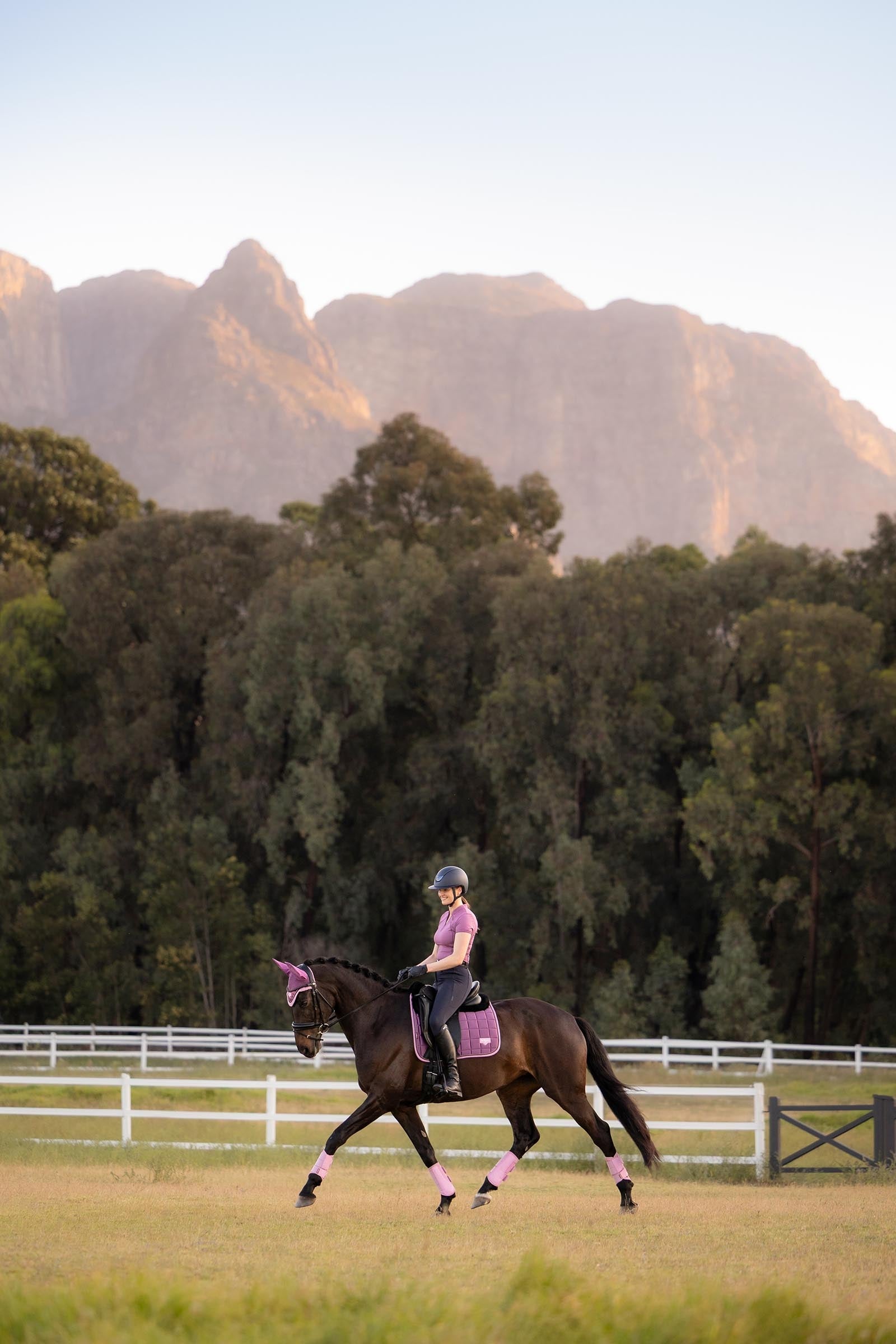 LeMieux Loire Classic Square Dressage Saddle Pad Saddle Pads
