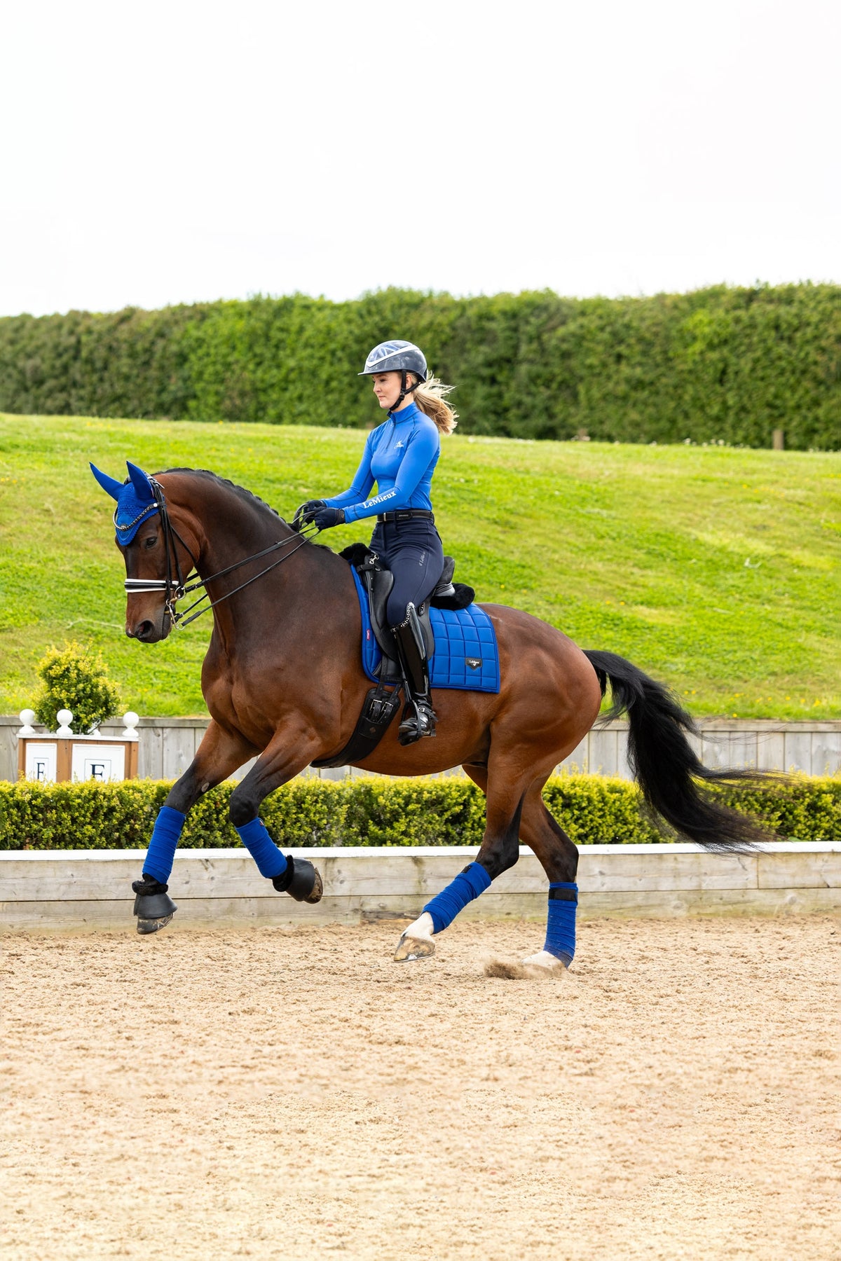 Prime Air-Tec tapis de selle de dressage Sky Blue P Prime Air-Tec tapis de selle de dressage Sky Blue P