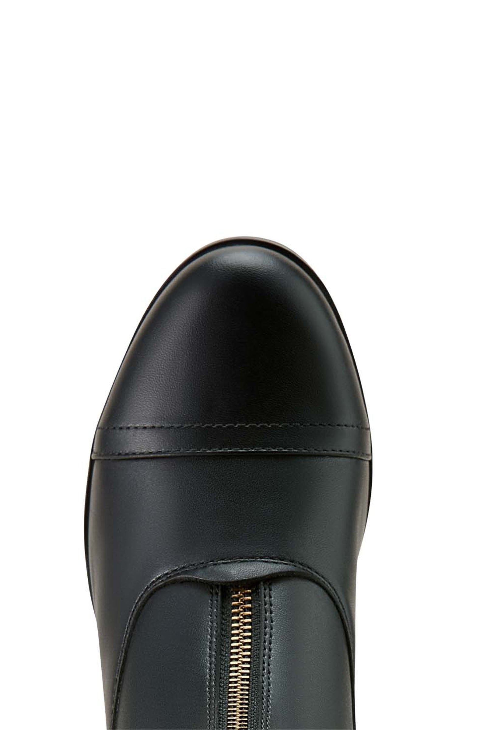 Ariat Scout Women´s  Zip Paddock Boot Riding Boots & Riding Shoes