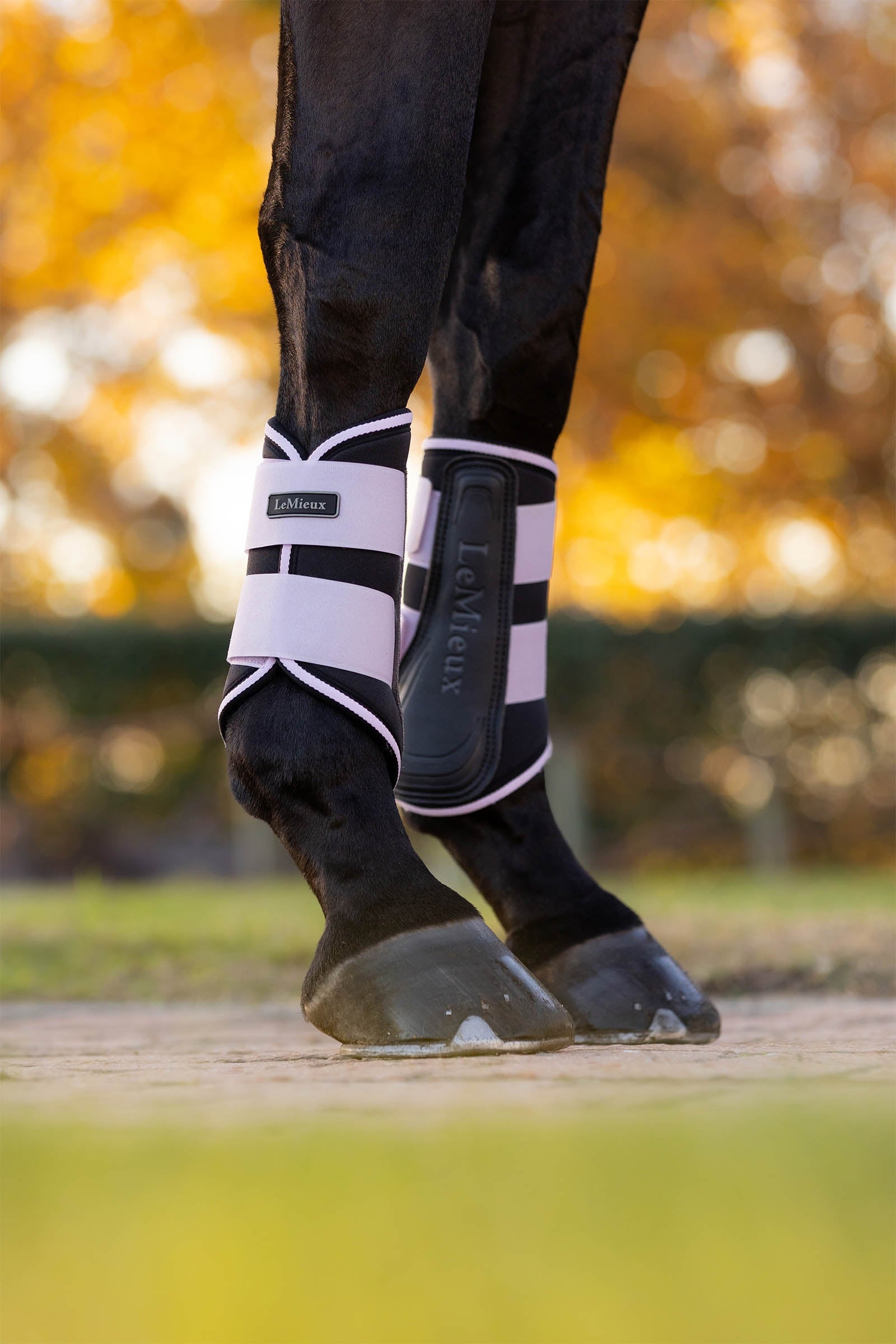 LeMieux Grafter Brushing Boots Leg & Hoof Protection