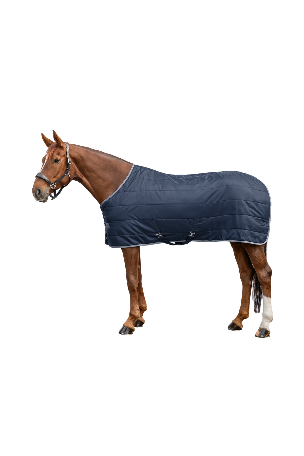 Waldhausen ECONOMIC 420D Couverture d'Écurie, 300 g Couvertures cheval