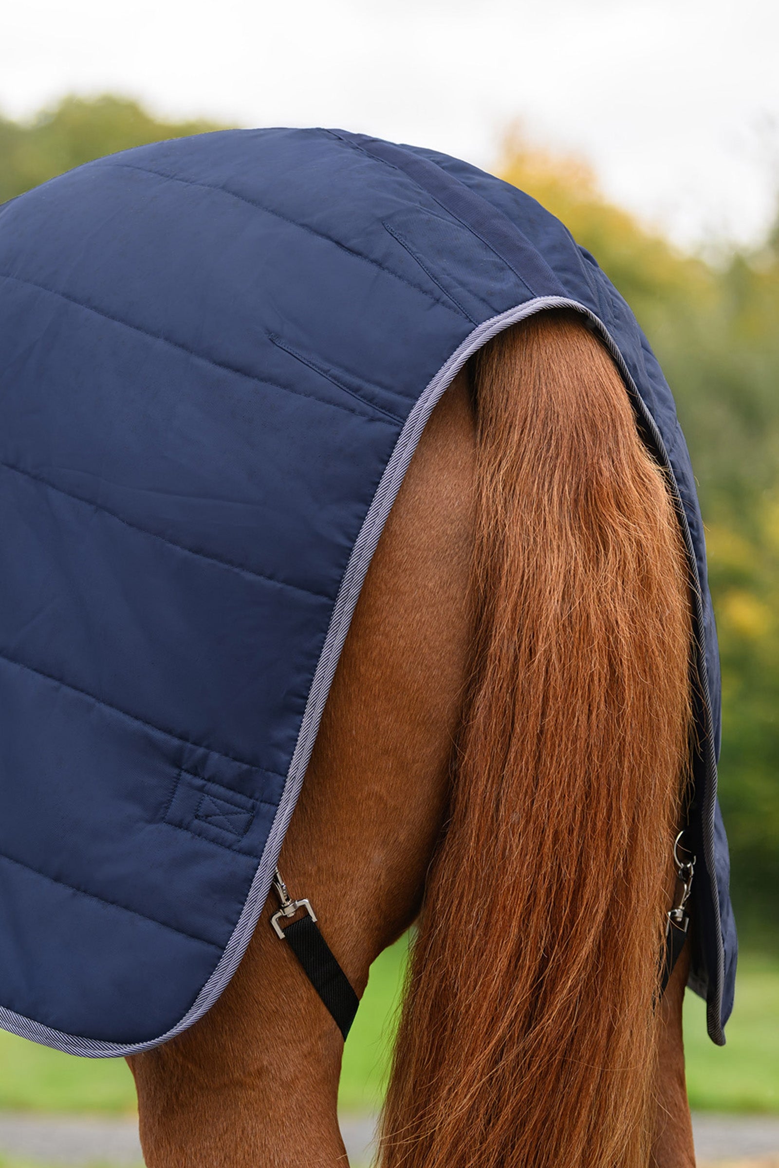 Waldhausen ECONOMIC 420D Stable Rug, 300 g Horse Rugs