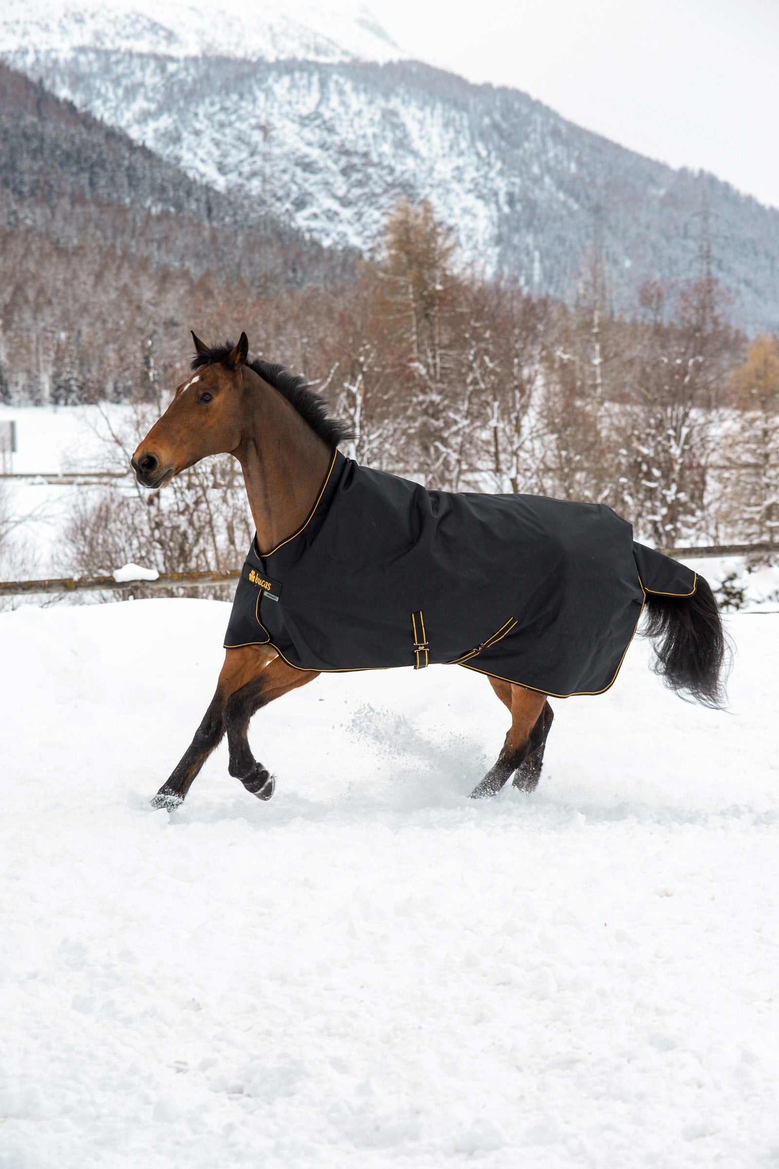 Bucas Irish couverture d'extérieur avec encolure haute, 300g Couvertures cheval