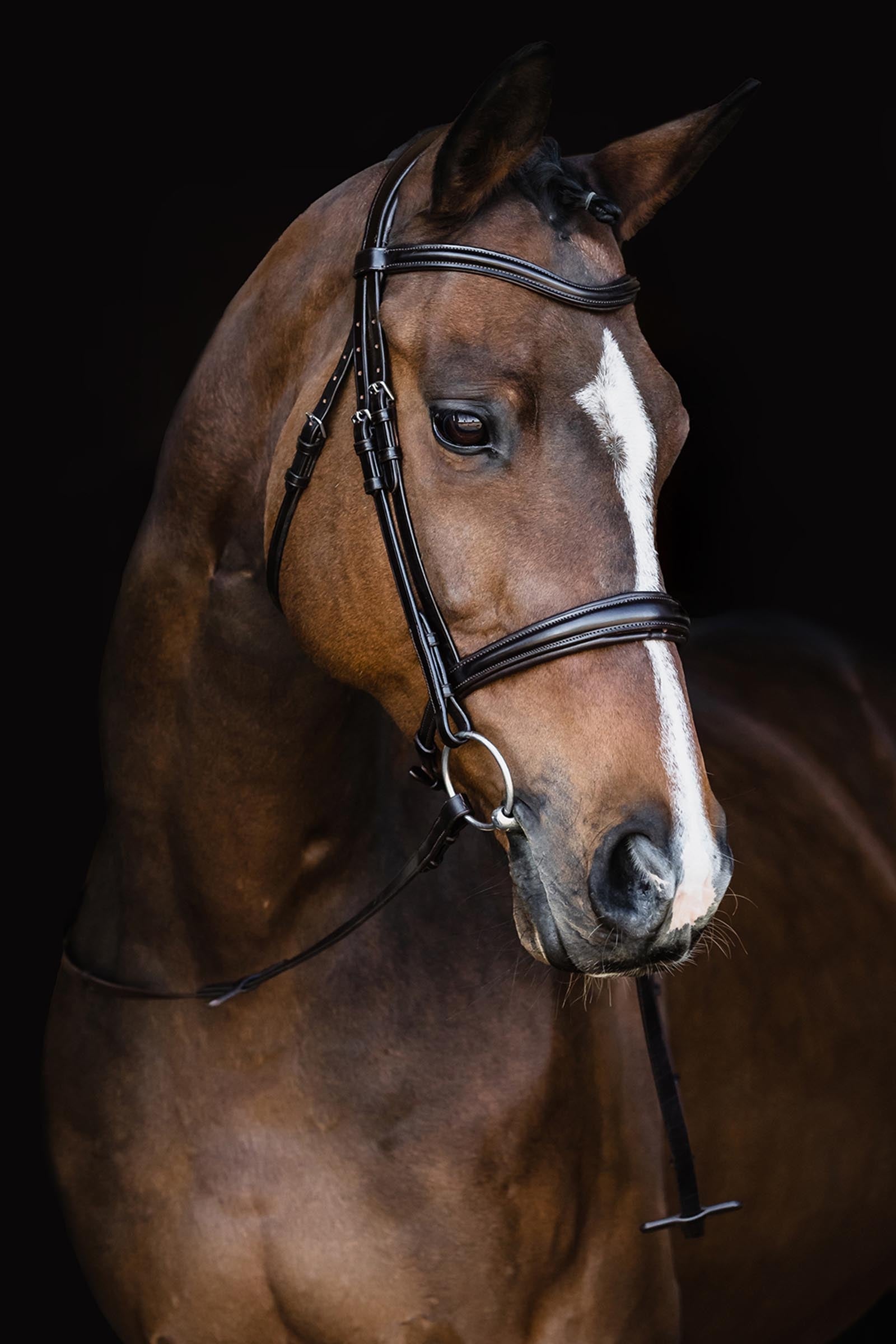 Schockemöhle Sports Schockemoehle Sports SP Monza Bridle Bridles & Reins