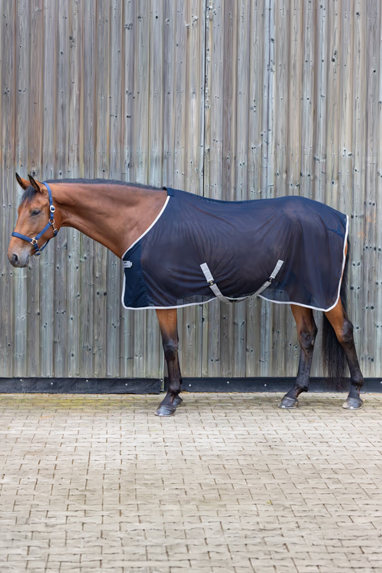 Covalliero RugBe Fly Blanket Horse Rugs