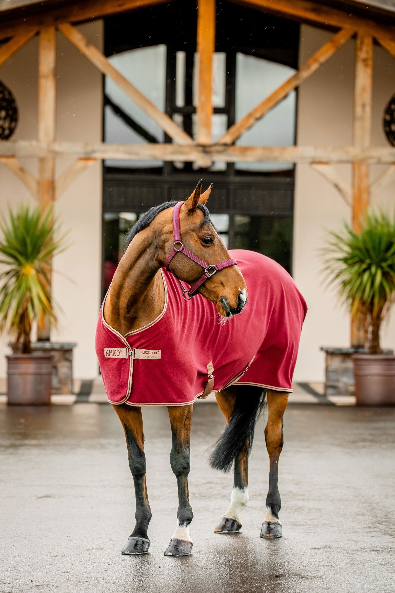Horseware Amigo Cooler Polaire Couvertures cheval