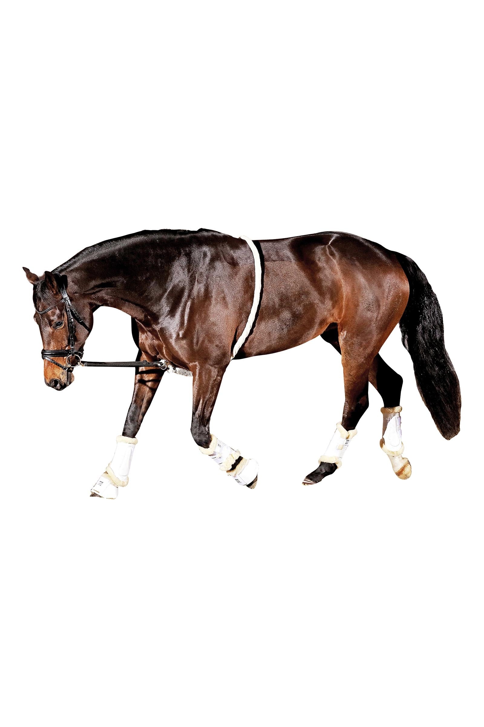 Horse Guard HorseGuard Soft Lunging Aid Travail à pied
