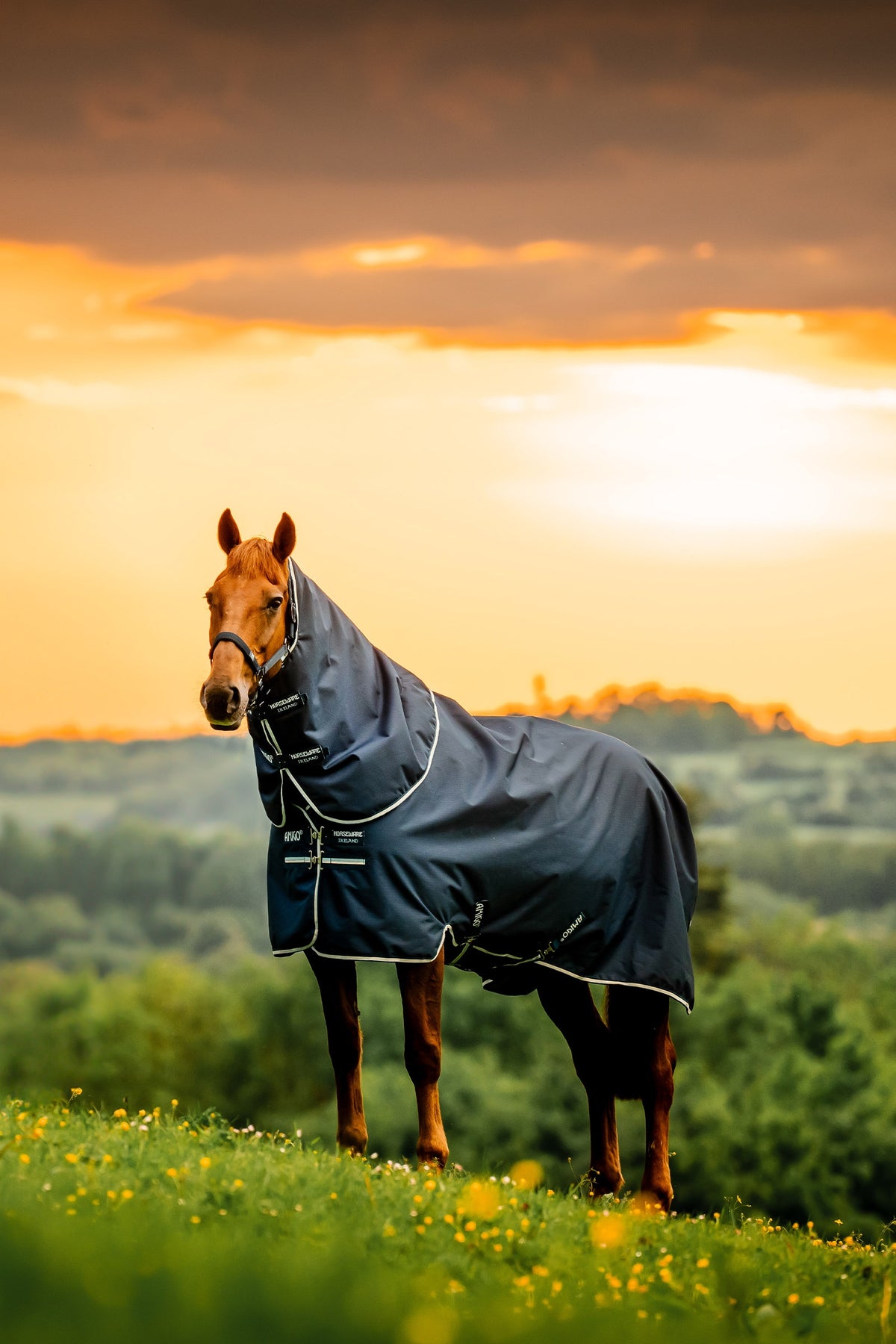 Horseware Amigo Ripstop 900D Plus Pony Turnout Rug, 0 g Horse Rugs