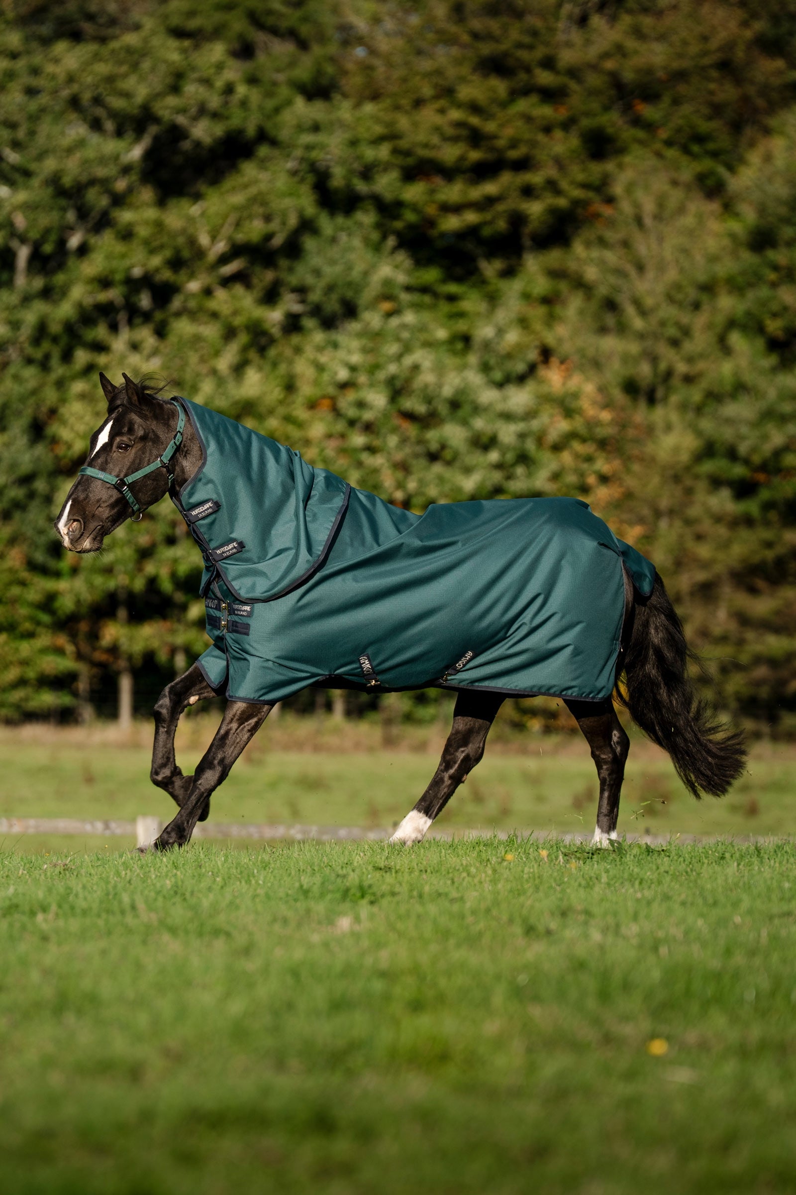 Horseware Amigo Ripstop 900D Plus Pony Turnout Rug, 0 g Horse Rugs