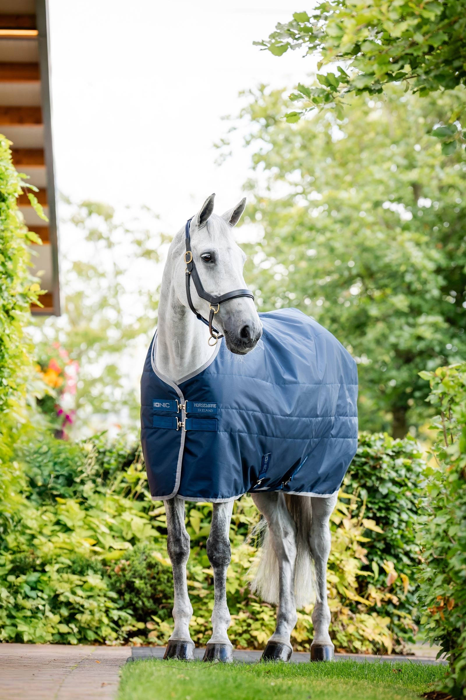 Horseware Ionic Therapy Couverture écurie, 50g Couvertures cheval