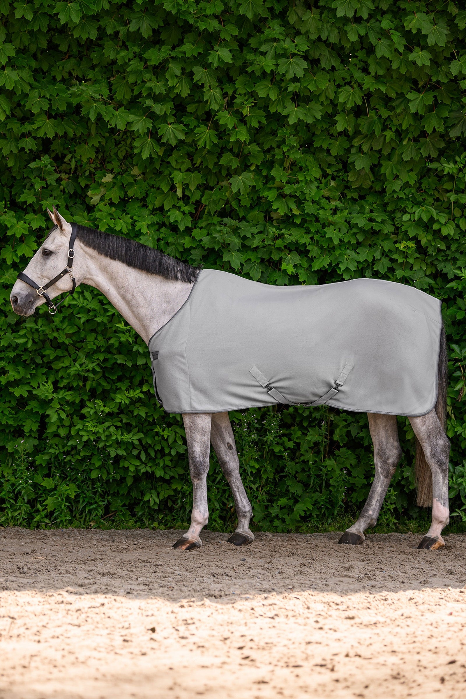 Waldhausen ECONOMIC couverture polaire avec sangles croisées Couvertures cheval