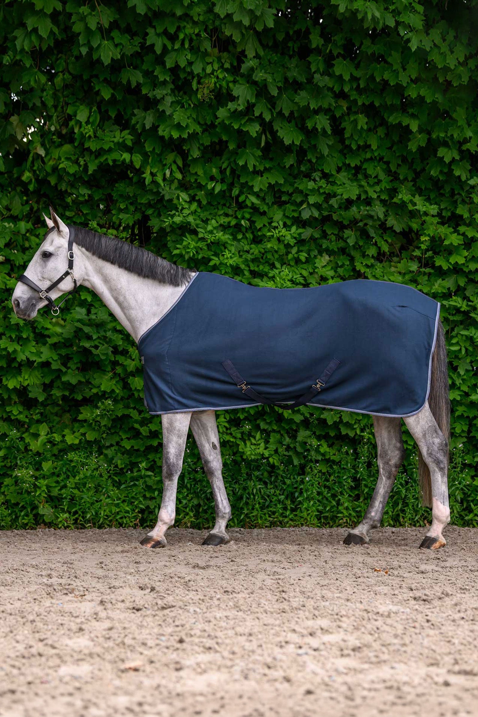 Waldhausen ECONOMIC couverture polaire avec sangles croisées Couvertures cheval