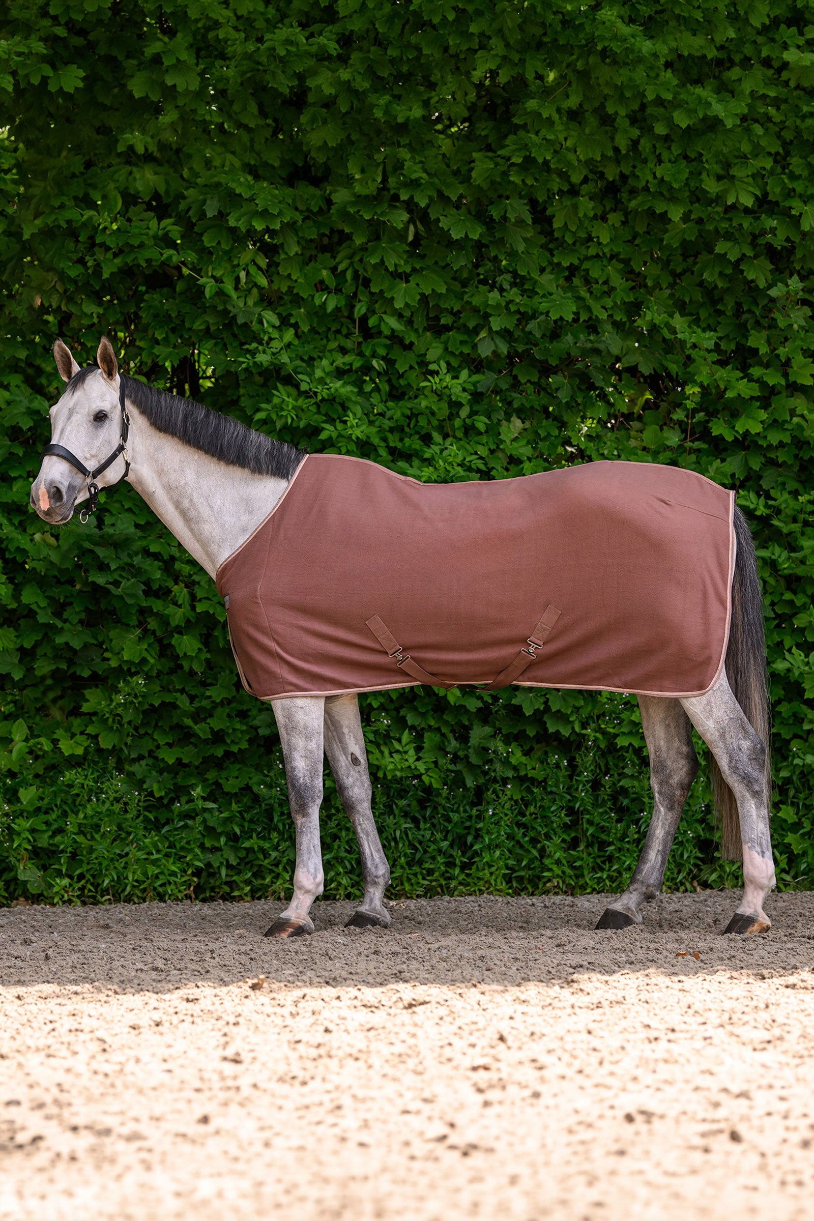 Waldhausen ECONOMIC couverture polaire avec sangles croisées Couvertures cheval