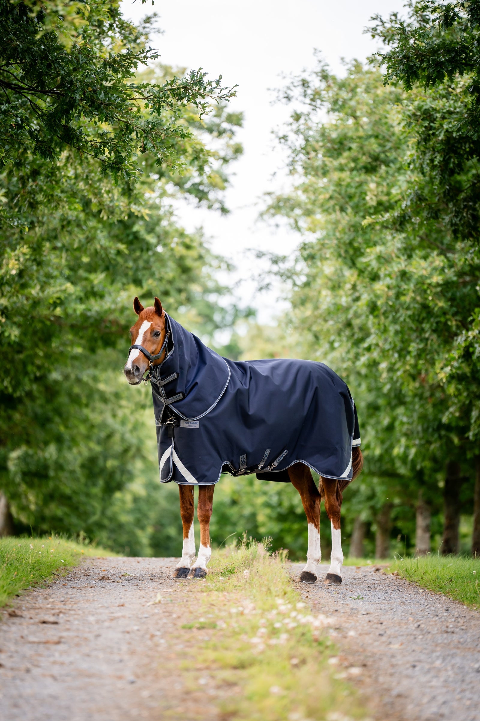 Horseware Rambo 1680D Plus Vario Layer couverture d’extérieur, 250 g Couvertures cheval