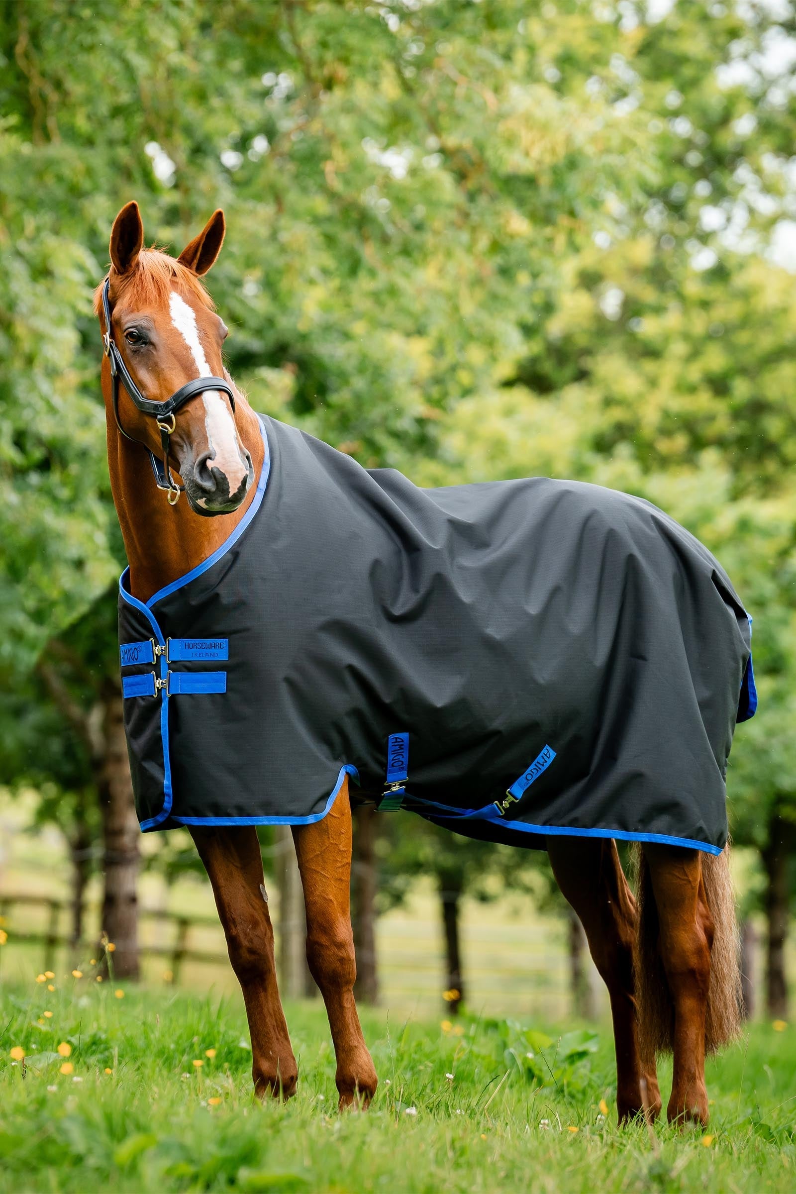 Horseware Amigo Ripstop 900D couverture d’extérieur doublée polaire, 50 g Couvertures cheval