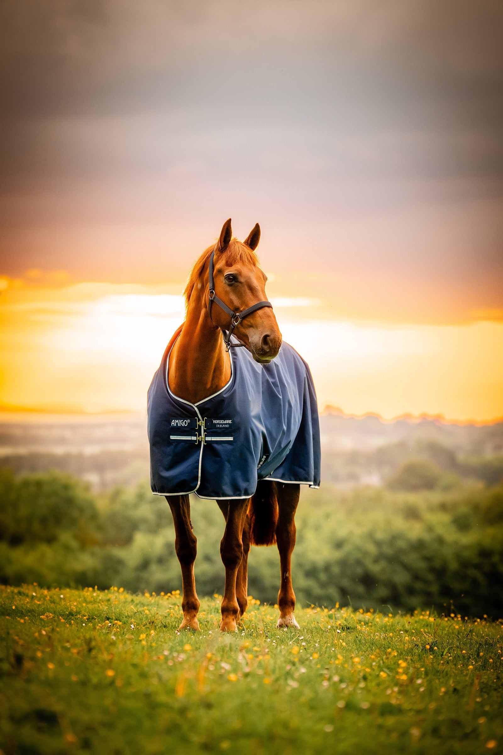 Horseware Amigo Ripstop 900D couverture d’extérieur doublée polaire, 50 g Couvertures cheval