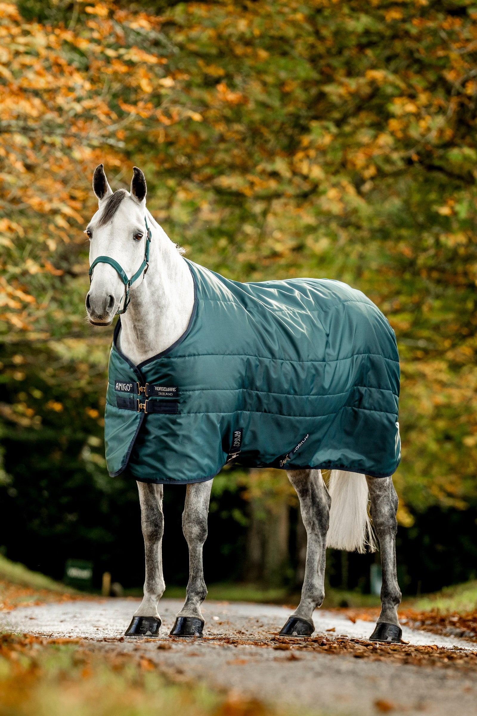 Horseware Amigo Ripstop Insulator Couverture écurie, 50g Couvertures cheval