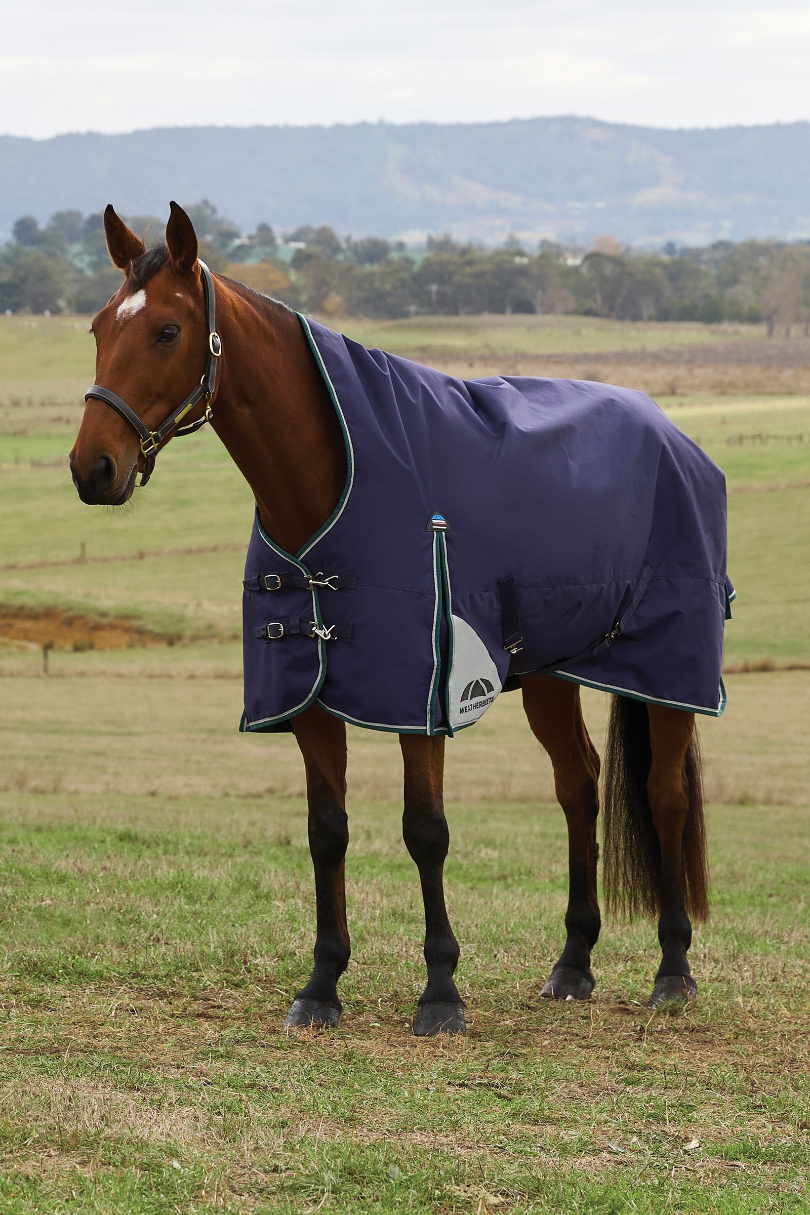 Weatherbeeta ComFiTecPlus Dynamic Turnout High Neck 100G Couvertures cheval