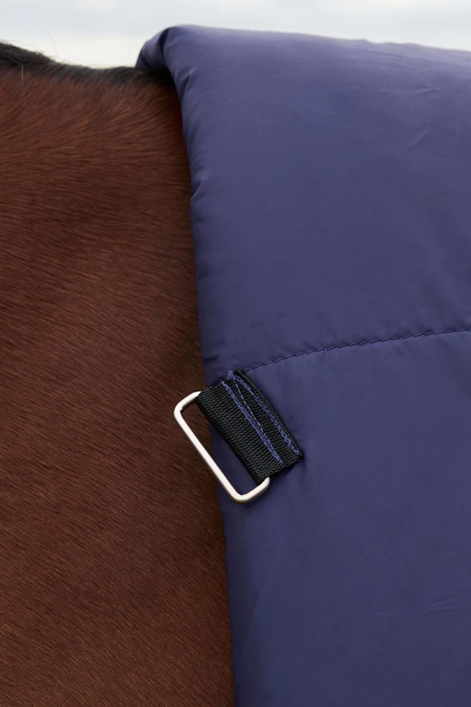 Weatherbeeta ComFiTecPlus Dynamic Turnout High Neck 100G Horse Rugs