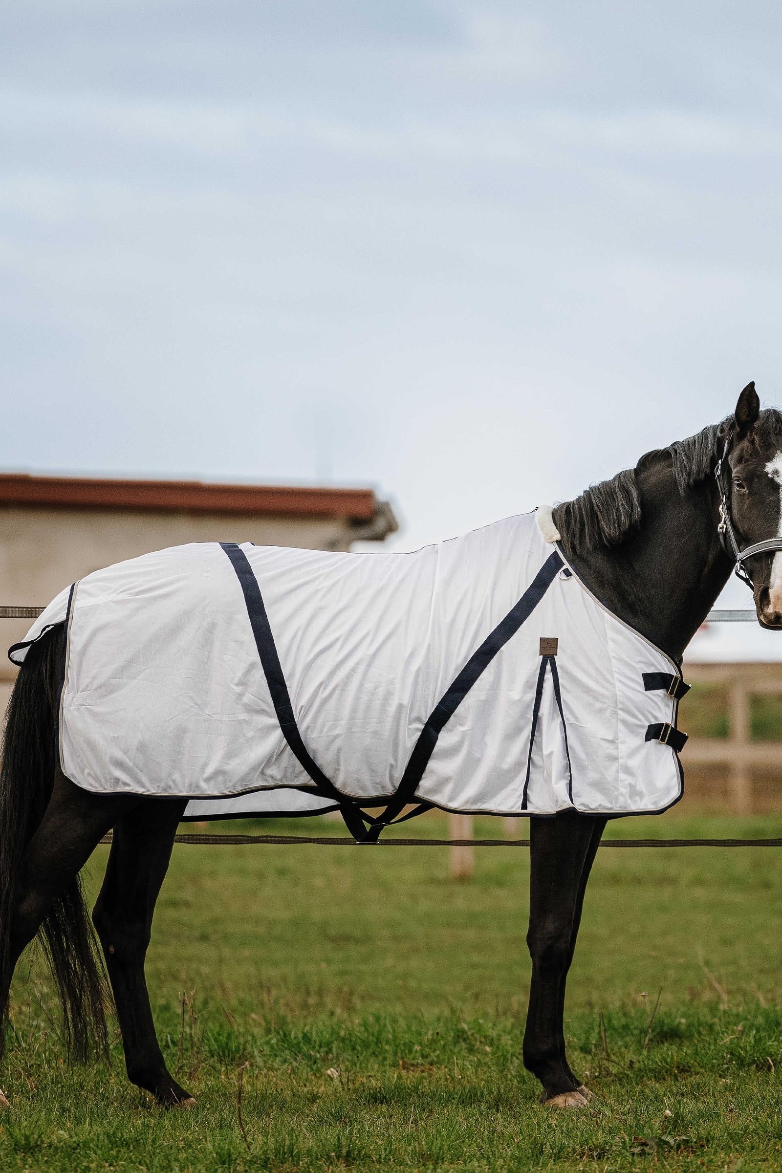 EQUITHÈME Mesh Anti-Insect Sheet Horse Rugs