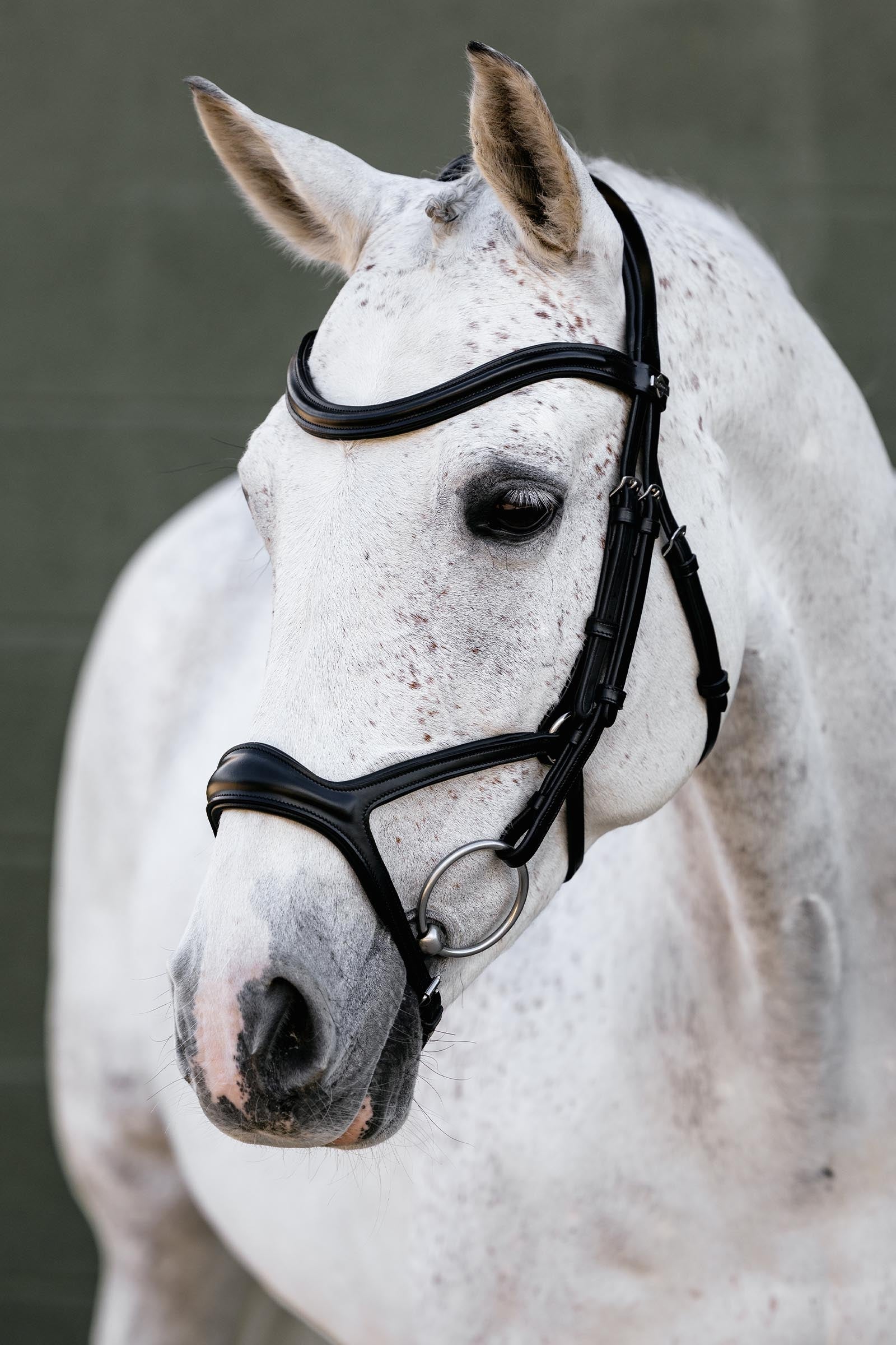 LeMieux Kudos Sport Bridle Bridles & Reins