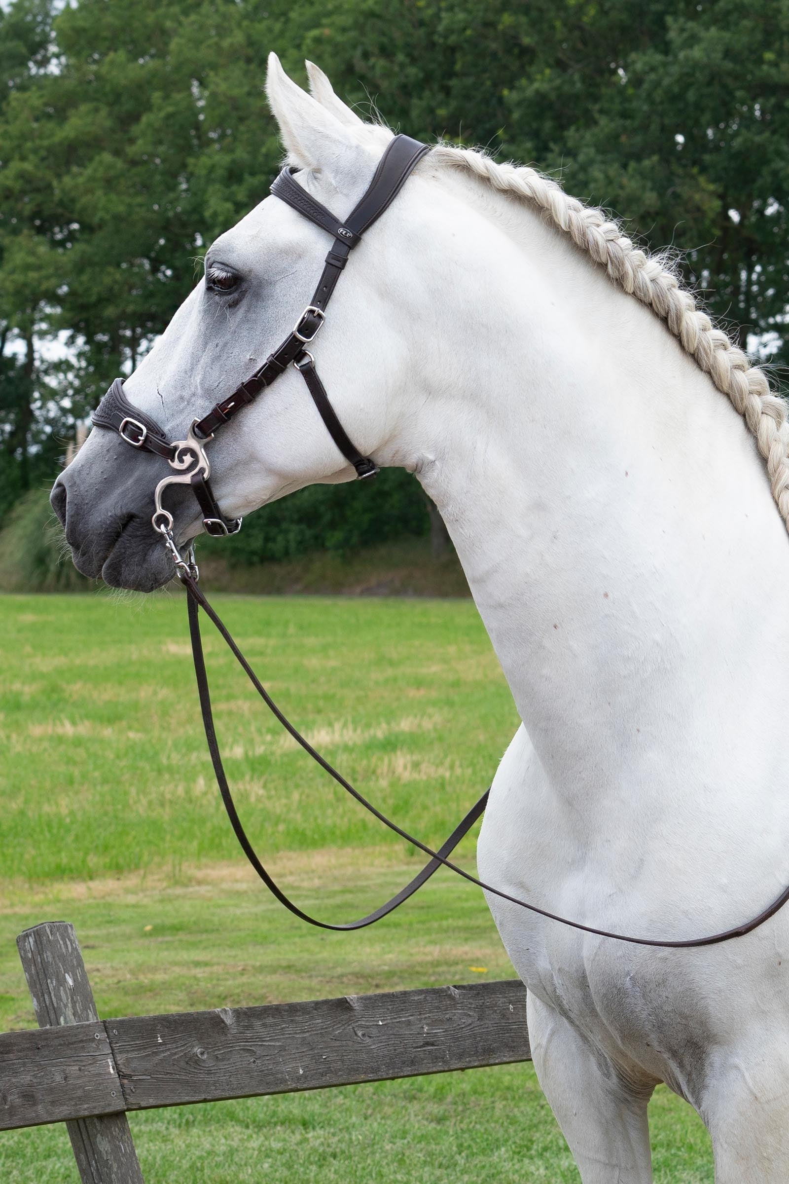 F.R.A. Freedom Riding Articles Fiore Cavemore Nosepart English Leather (Syst.2) w/ Scissors Bridles & Reins