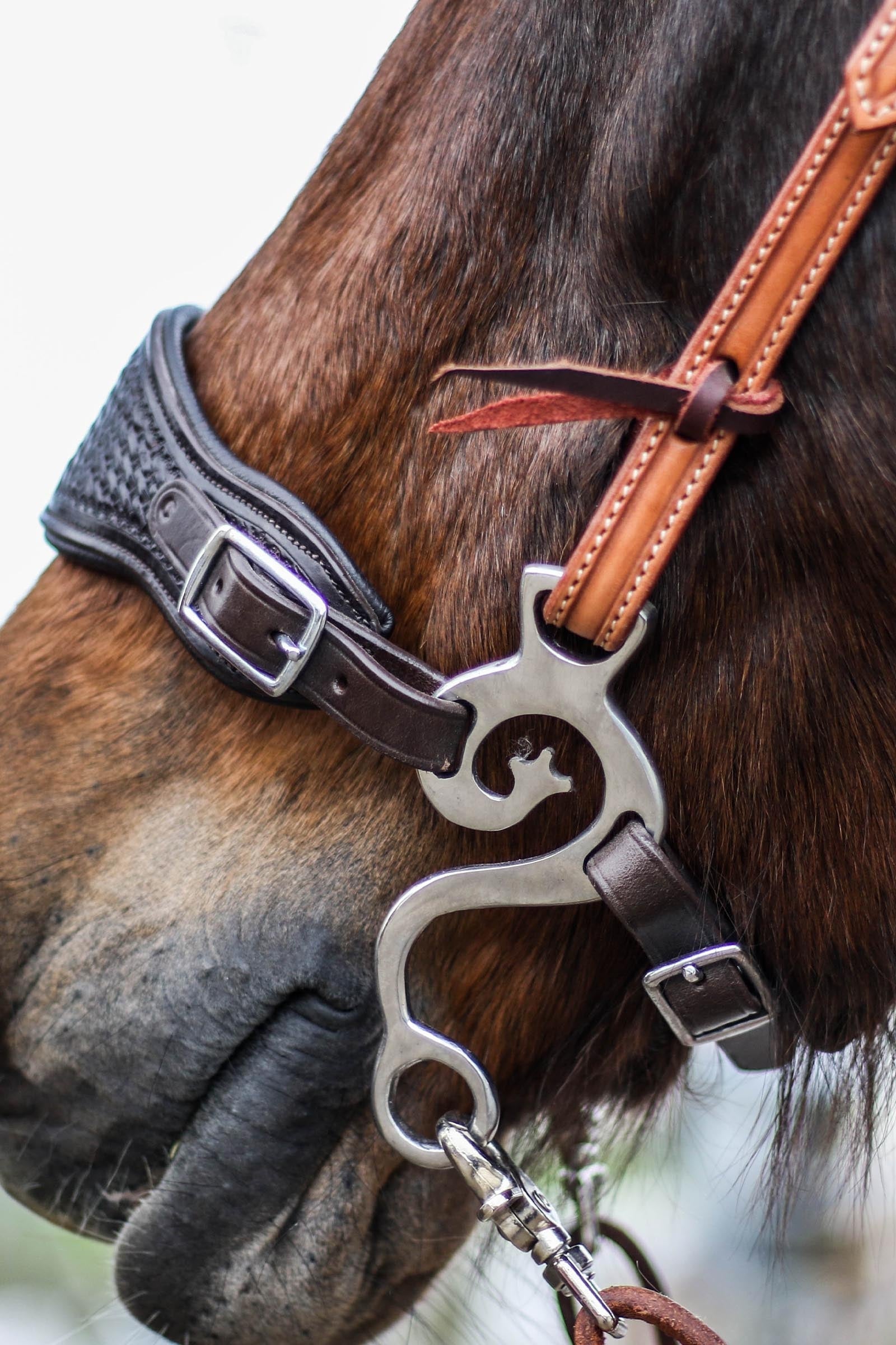 F.R.A. Freedom Riding Articles Fiore Cavemore Nosepart English Leather (Syst.2) w/ Scissors Bridles & Reins