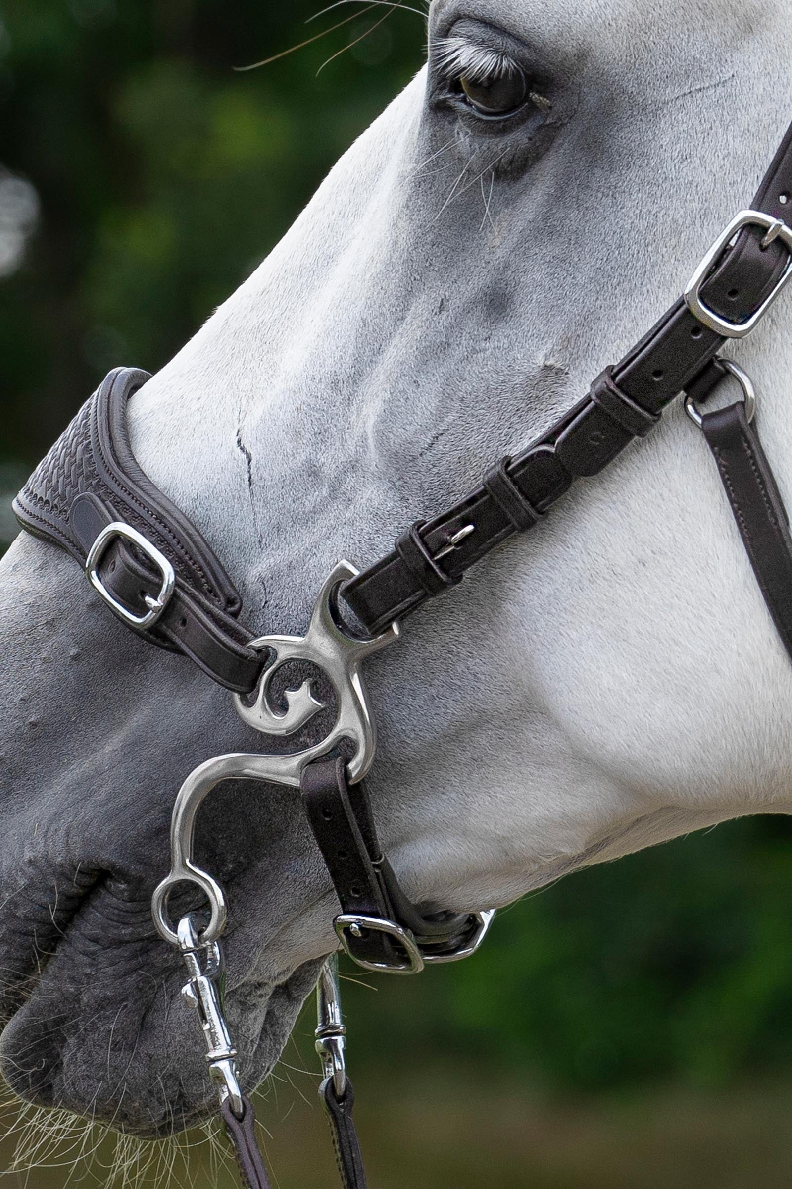 F.R.A. Freedom Riding Articles Fiore Cavemore Nosepart English Leather (Syst.2) w/ Scissors Bridles & Reins
