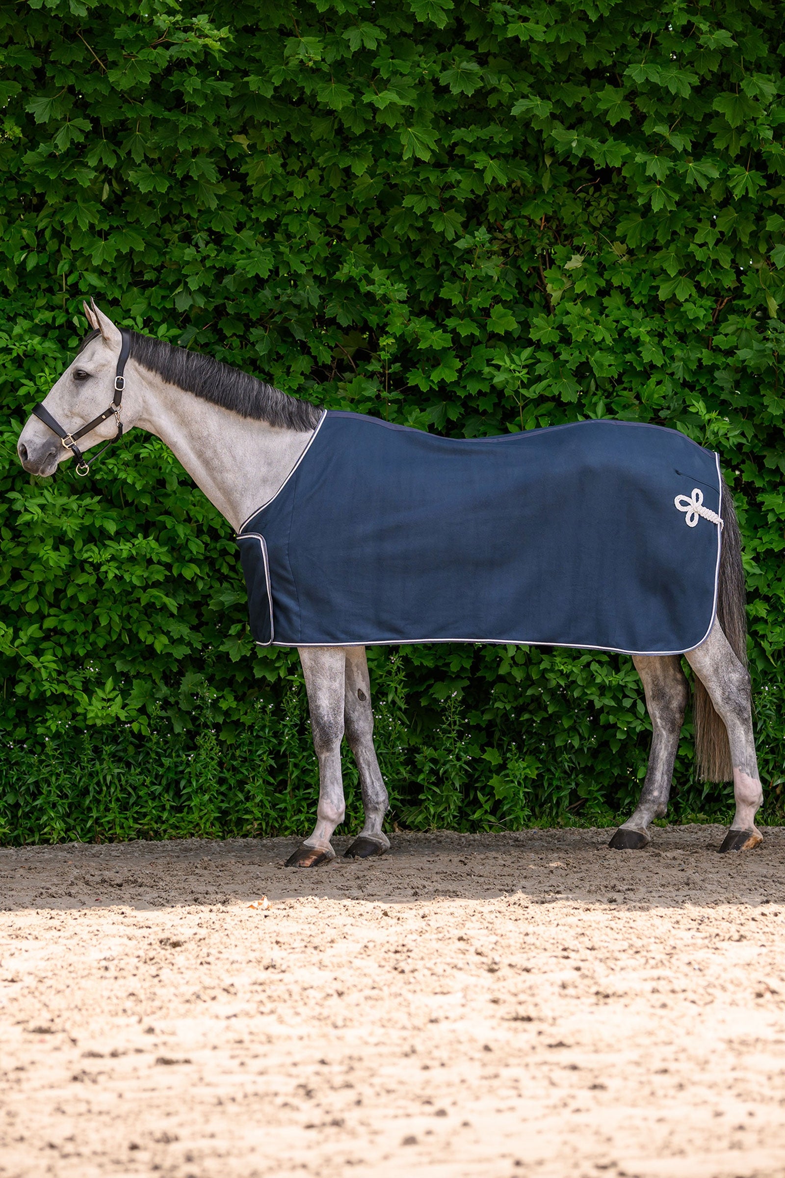 Waldhausen ECONOMIC couverture polaire publicitaire Couvertures cheval