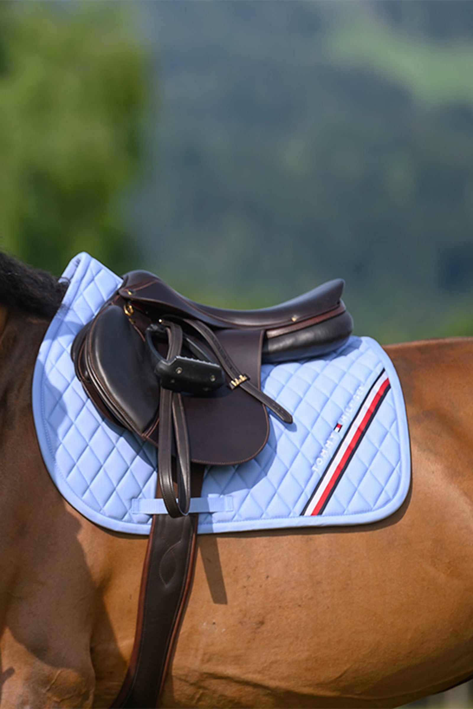 Tommy Hilfiger Equestrian Stanford Jumping Saddlepad Saddle Pads