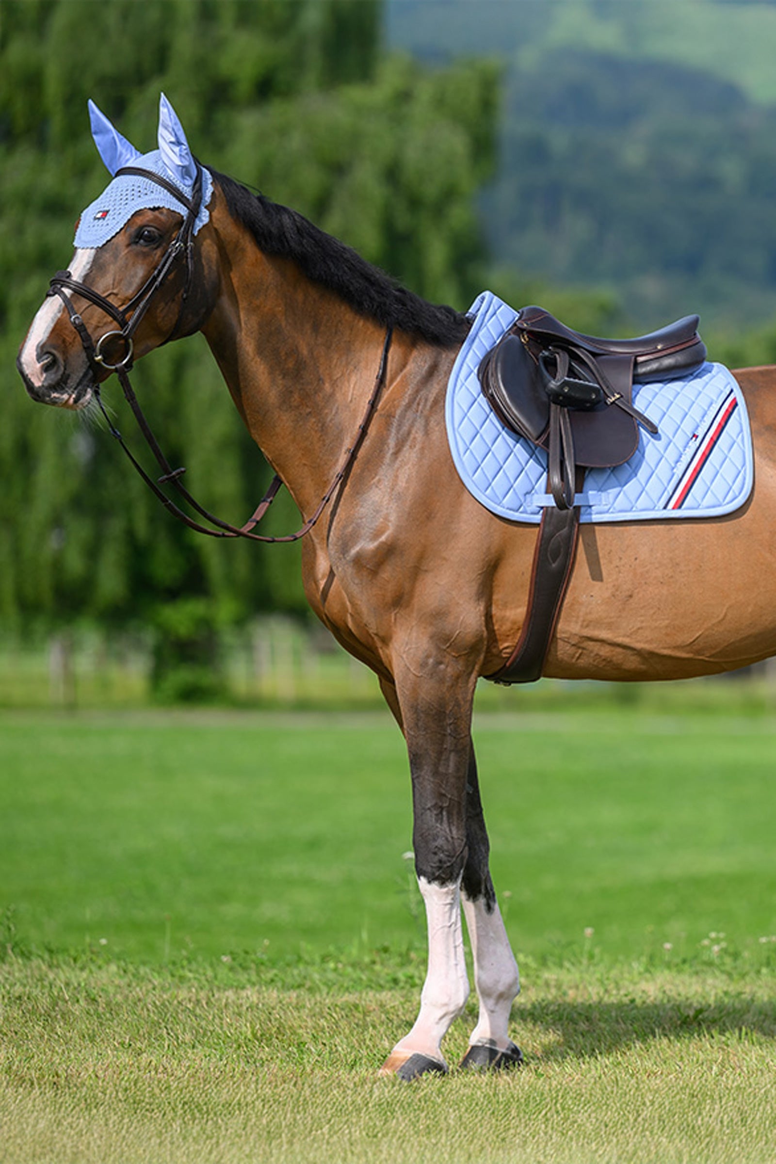 Tommy Hilfiger Equestrian Stanford Jumping Saddlepad Saddle Pads