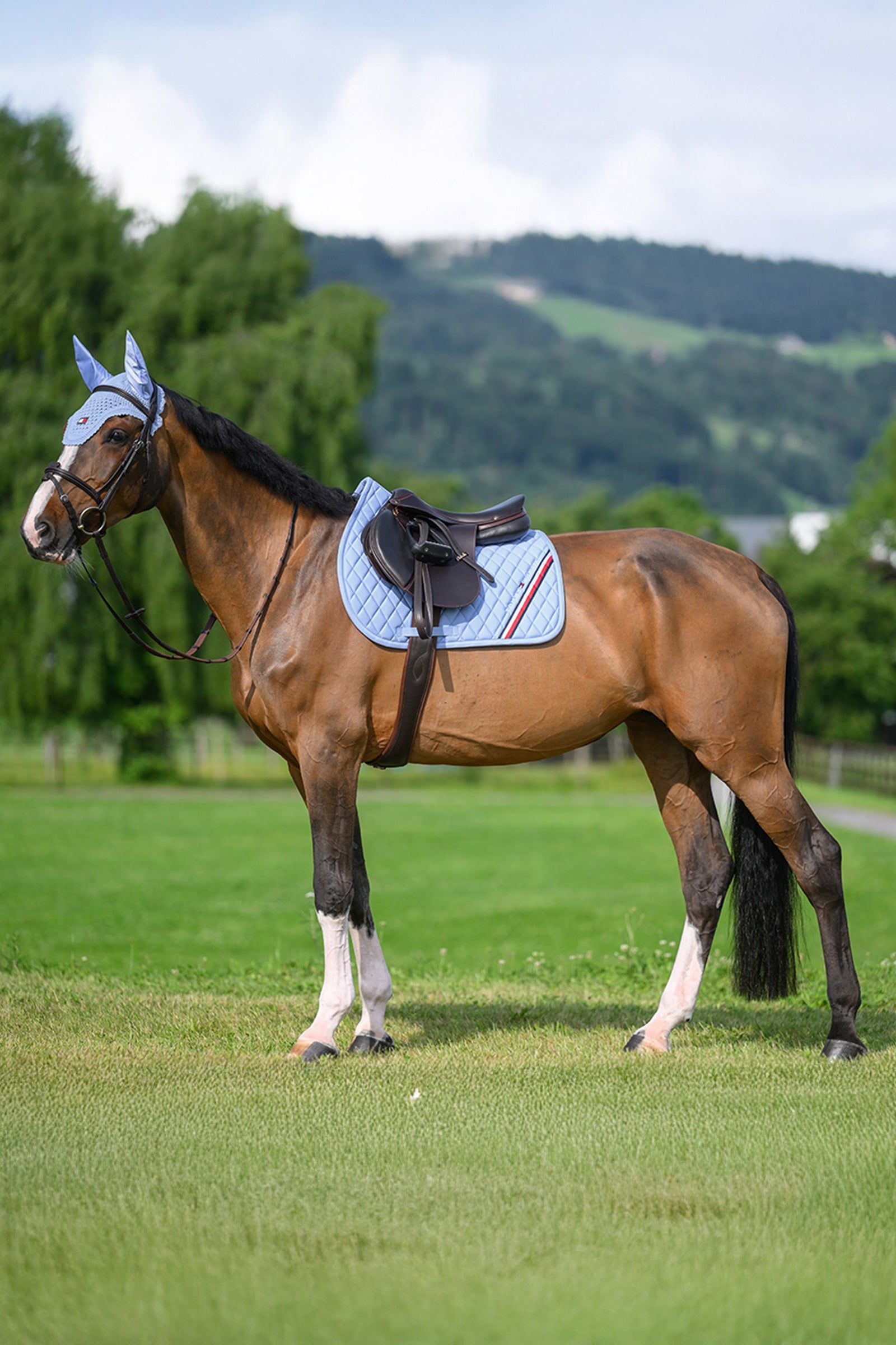 Tommy Hilfiger Equestrian Stanford Jumping Saddlepad Saddle Pads