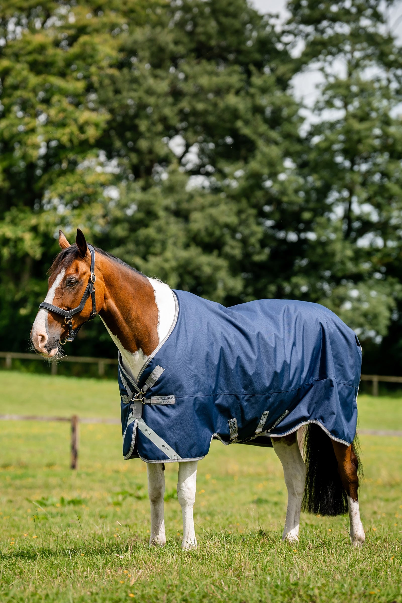 Horseware Amigo 1200D couverture d’extérieur, 250 g Couvertures cheval