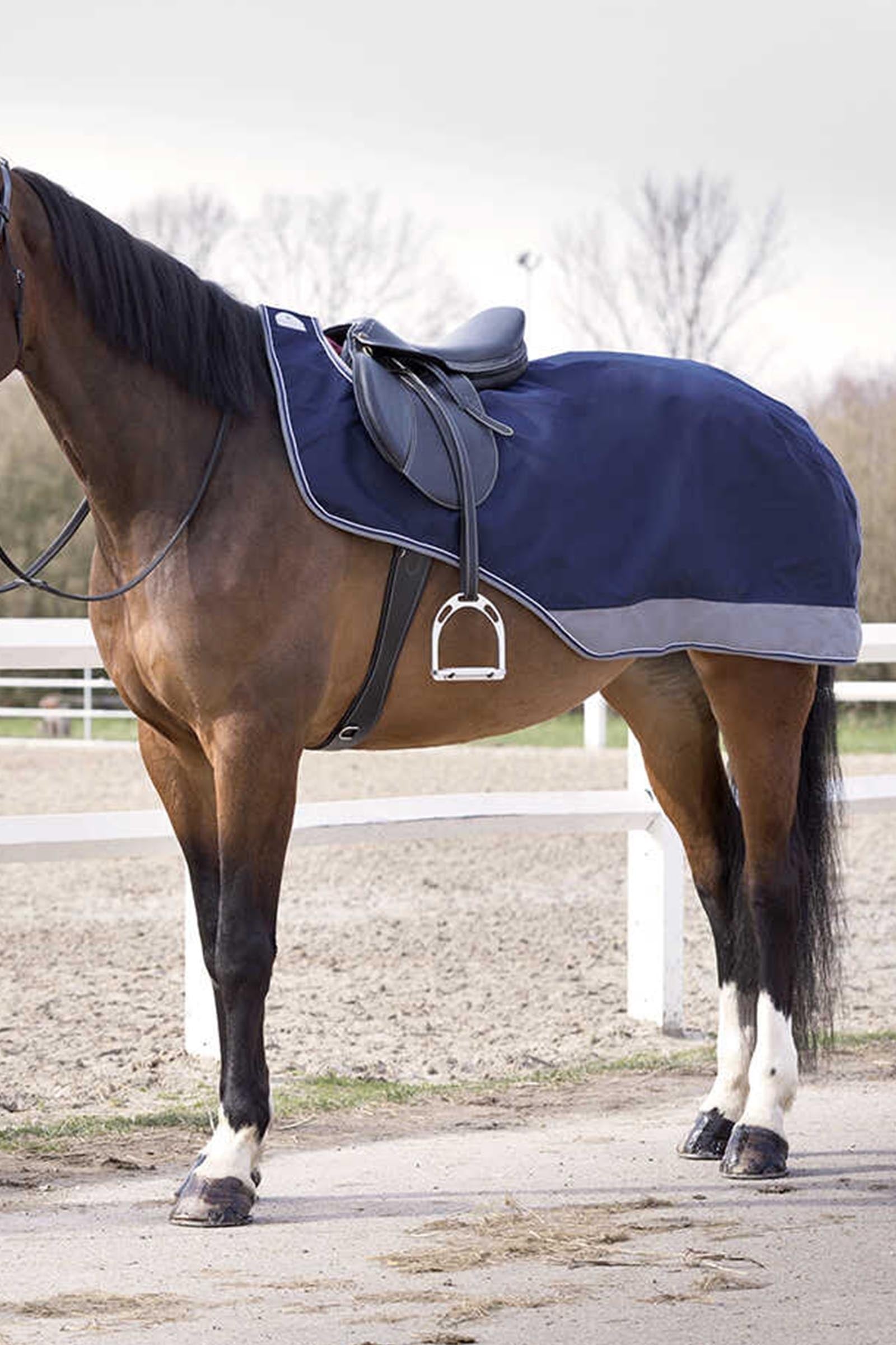 Equi Theme EQUITHÈME TYREX 600D Walker Rug Fleece Lined Horse Rugs