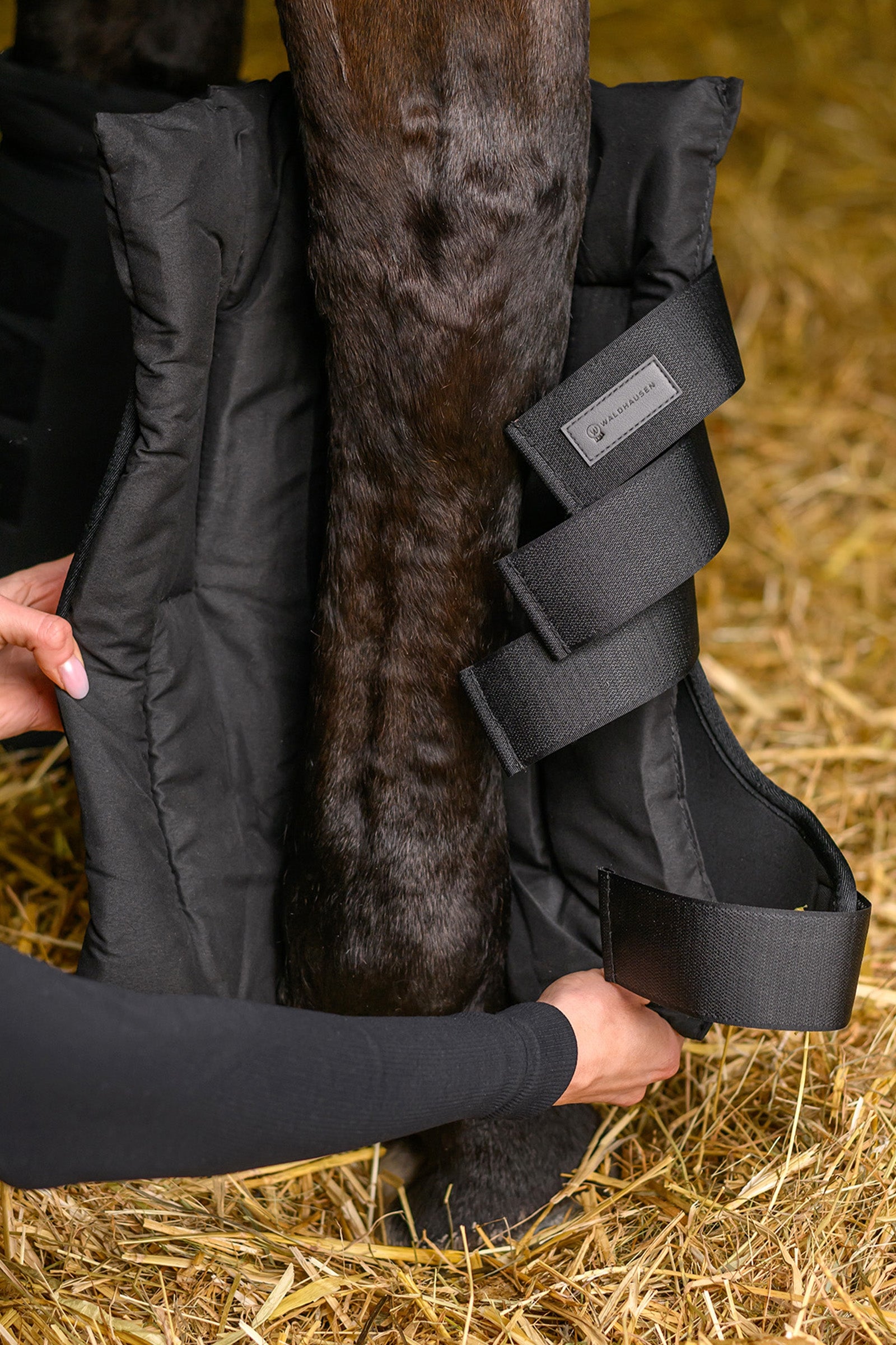 Waldhausen Horse Stable Boots Leg & Hoof Protection