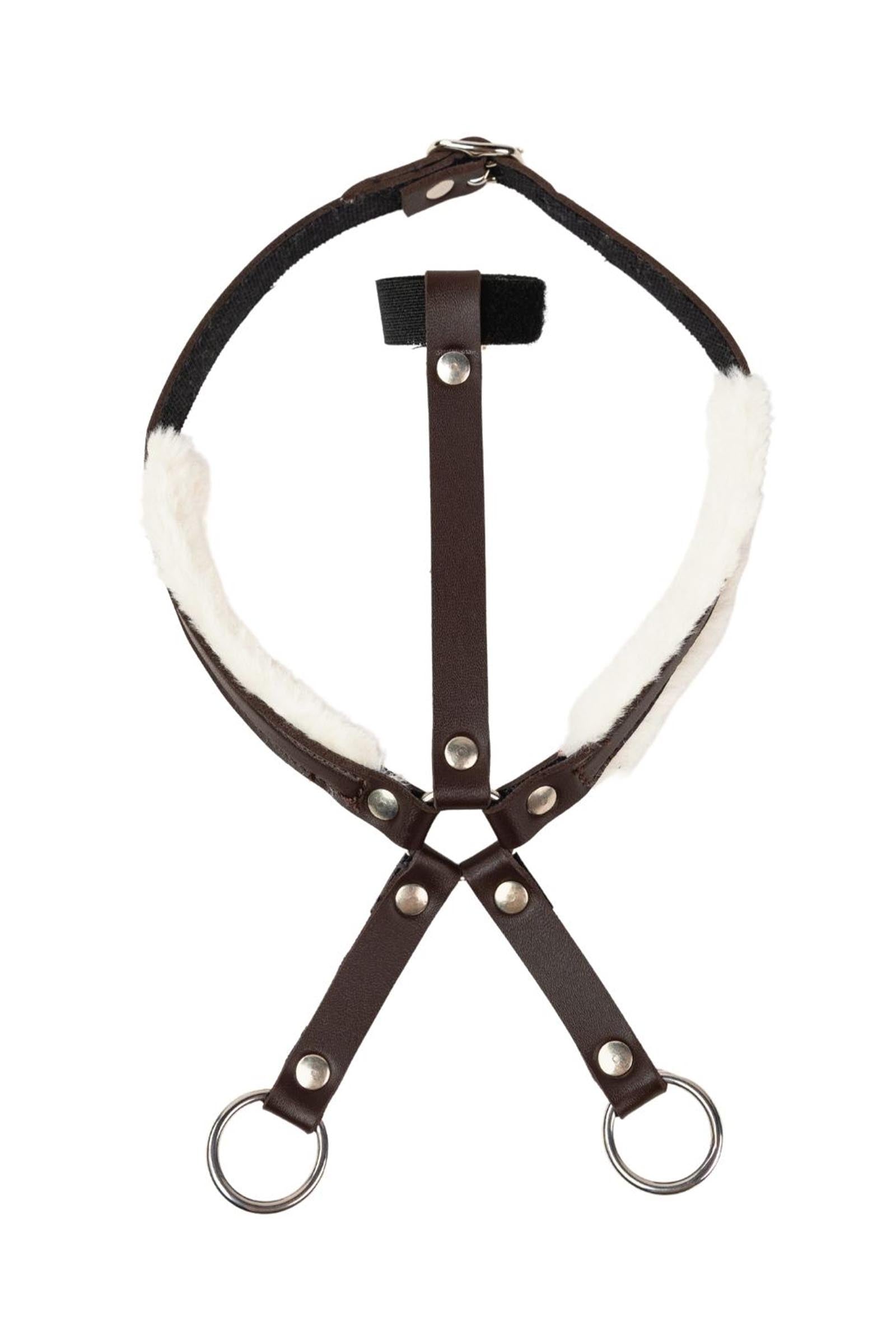 My Hobby Horse martingale Cadeaux