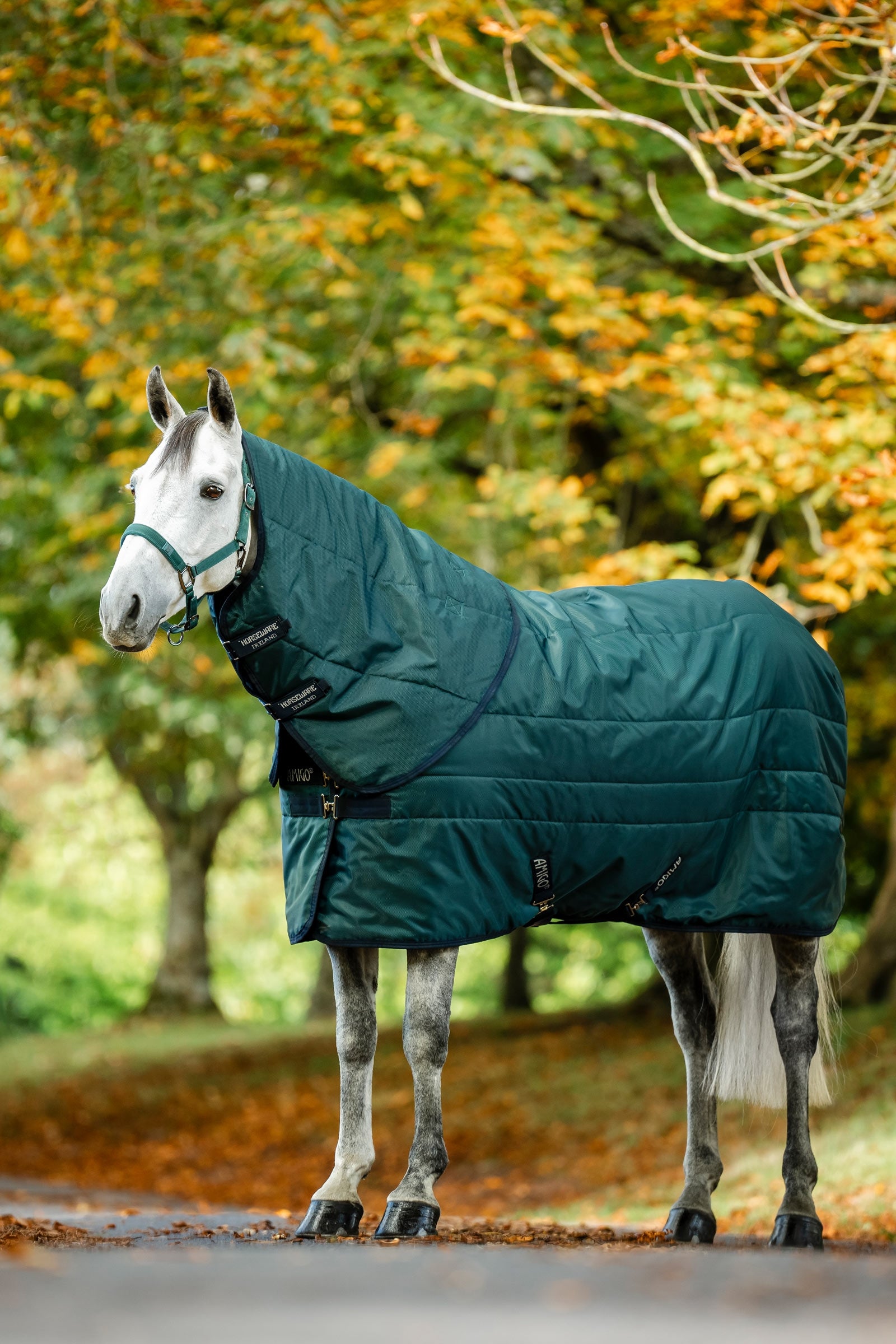 Horseware Amigo Ripstop Insulator Stable Rug, 200g Horse Rugs