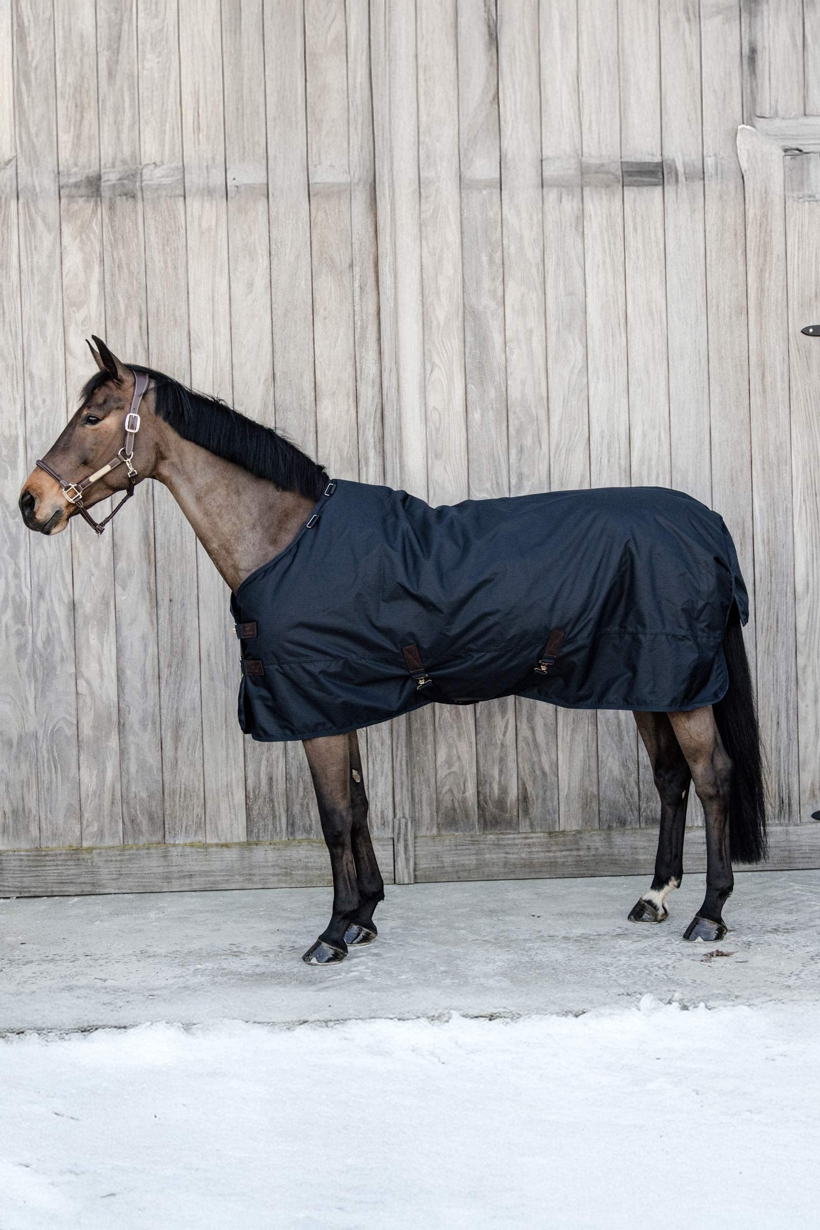Kentucky Horsewear Couverture d’extérieur Pony All Weather Waterproof Classic, 150g Couvertures cheval
